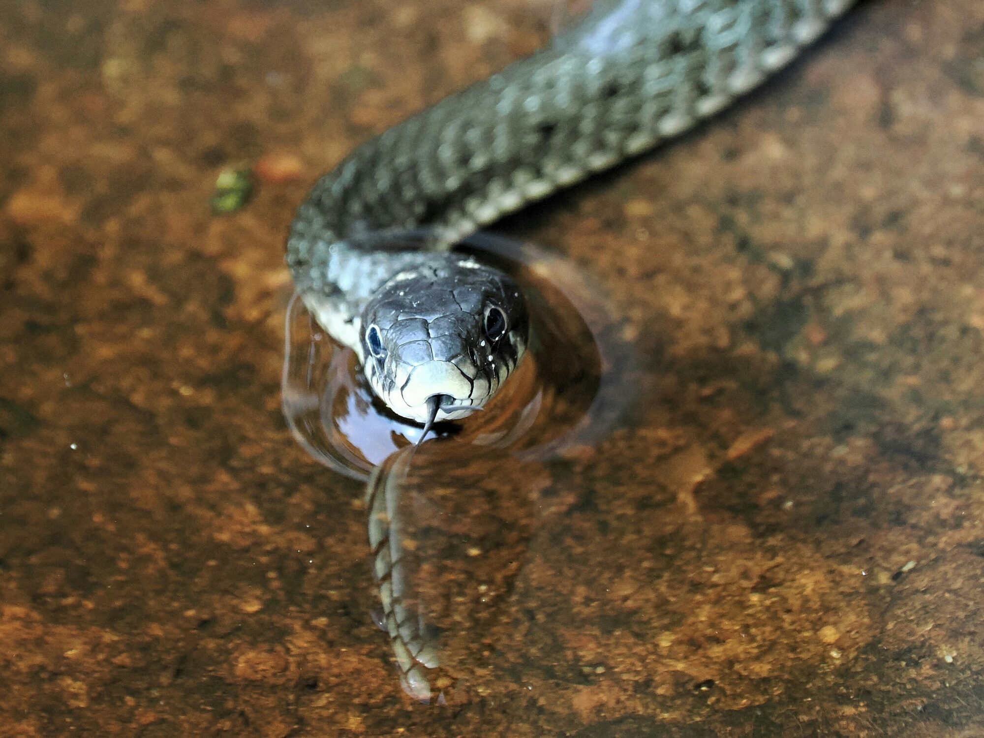 Valokuvaaja: Mikkola Irma