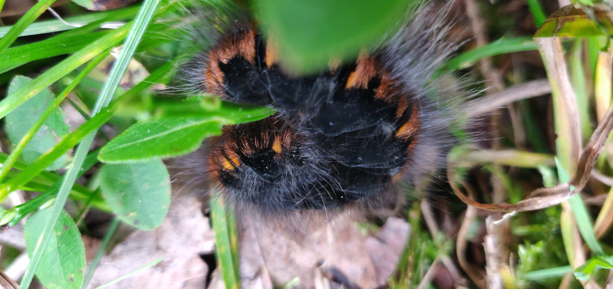 Valokuvaaja: Minna Sukkinen