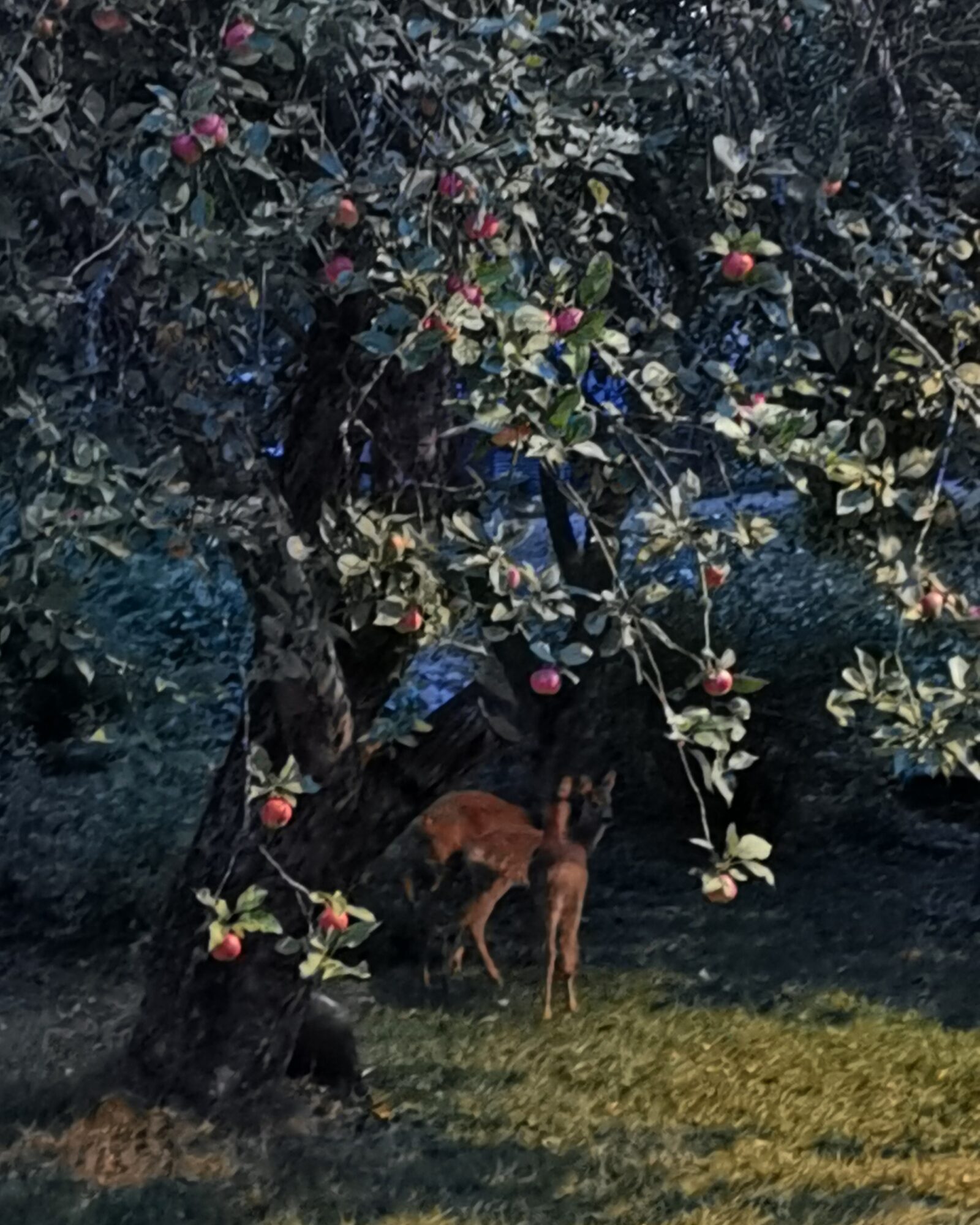 Valokuvaaja: Taru Karhunen Valokuvaaja: Taru Karhunen