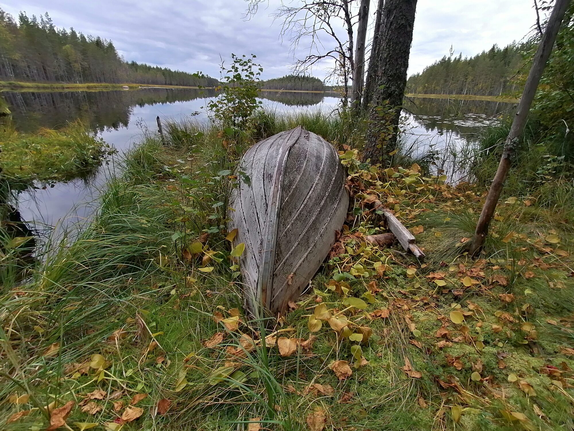Valokuvaaja: Kaija Halonen