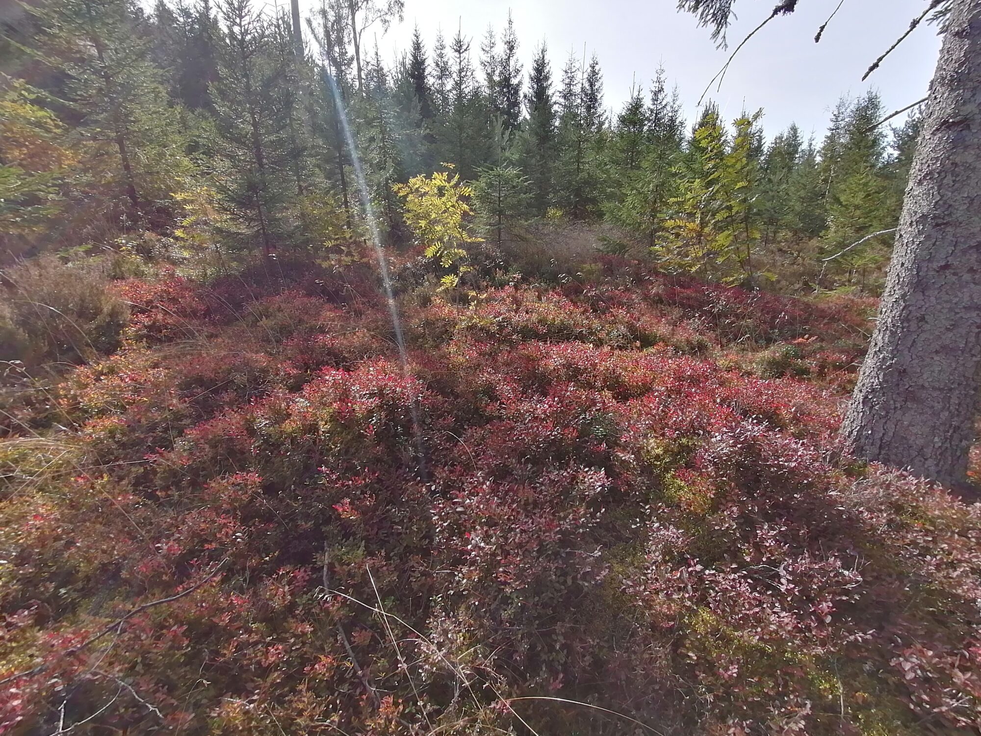 Valokuvaaja: Kaija Halonen