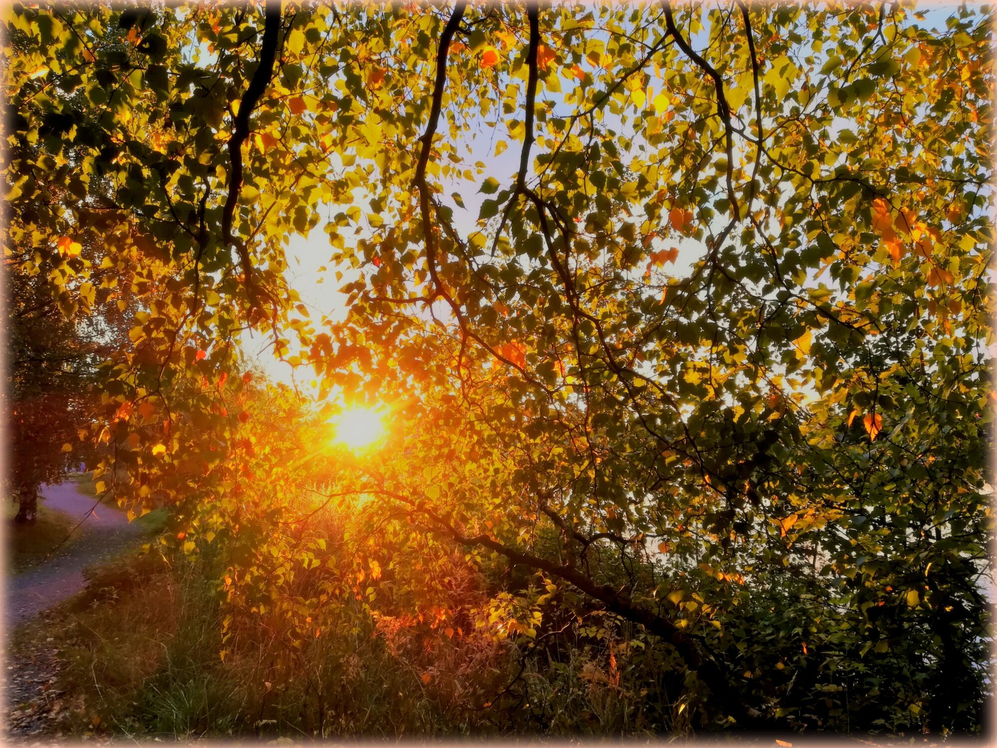 Valokuvaaja: Irja Lehtinen