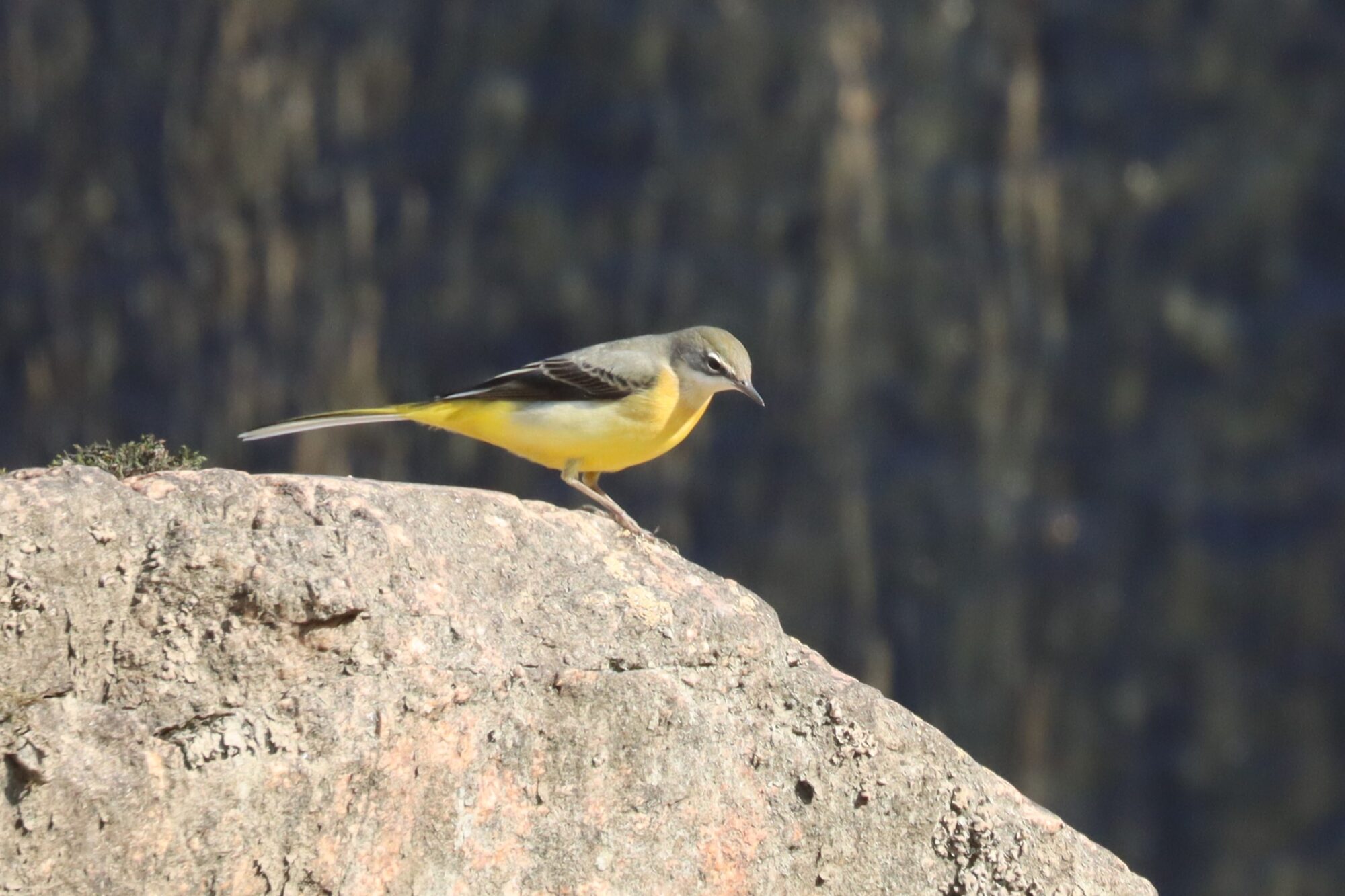 Valokuvaaja: Susanna Hannula