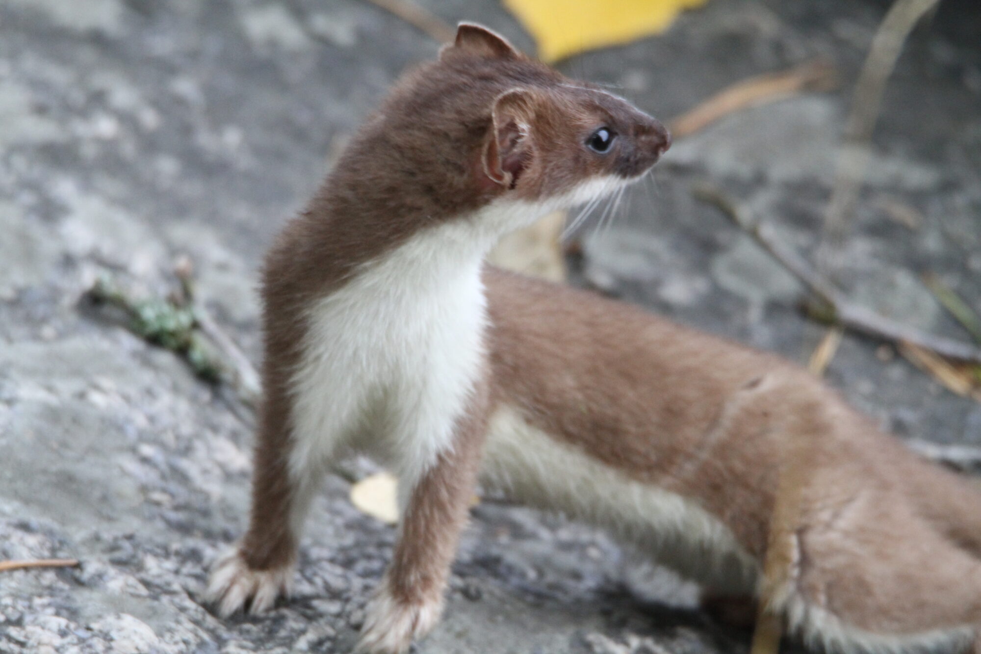 Valokuvaaja: Hannu Vuorinen