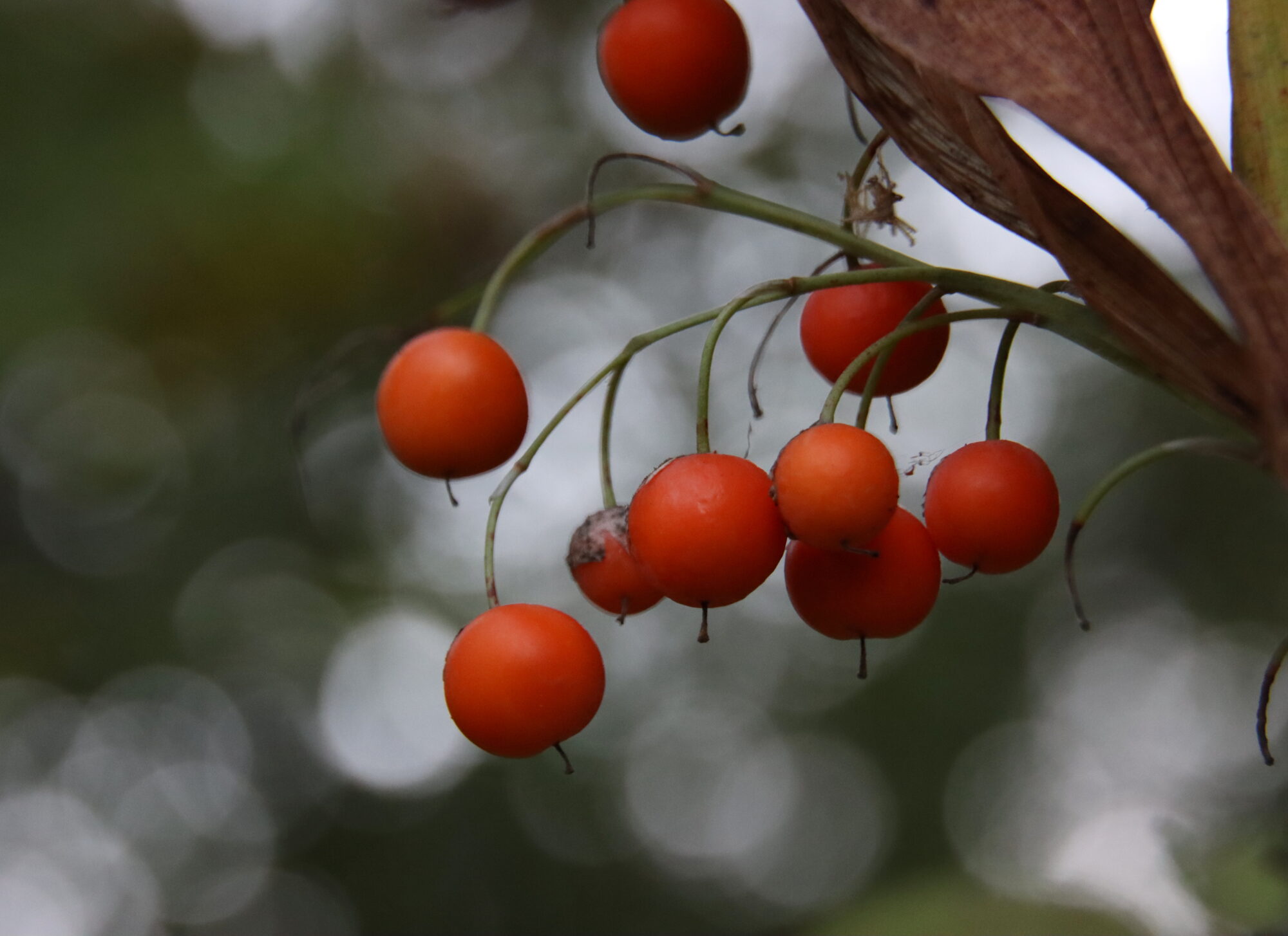 Valokuvaaja: Irja Lehtinen