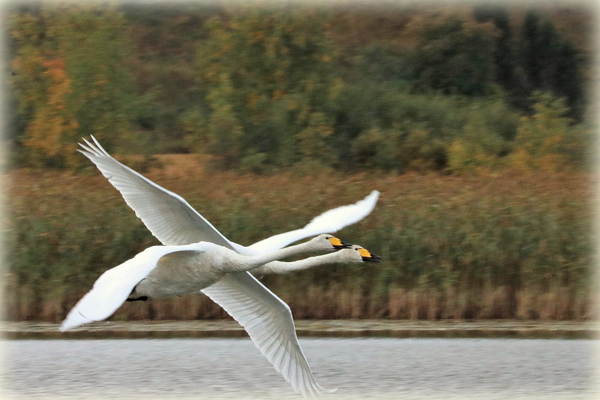 Valokuvaaja: Irja Lehtinen Valokuvaaja: Irja Lehtinen