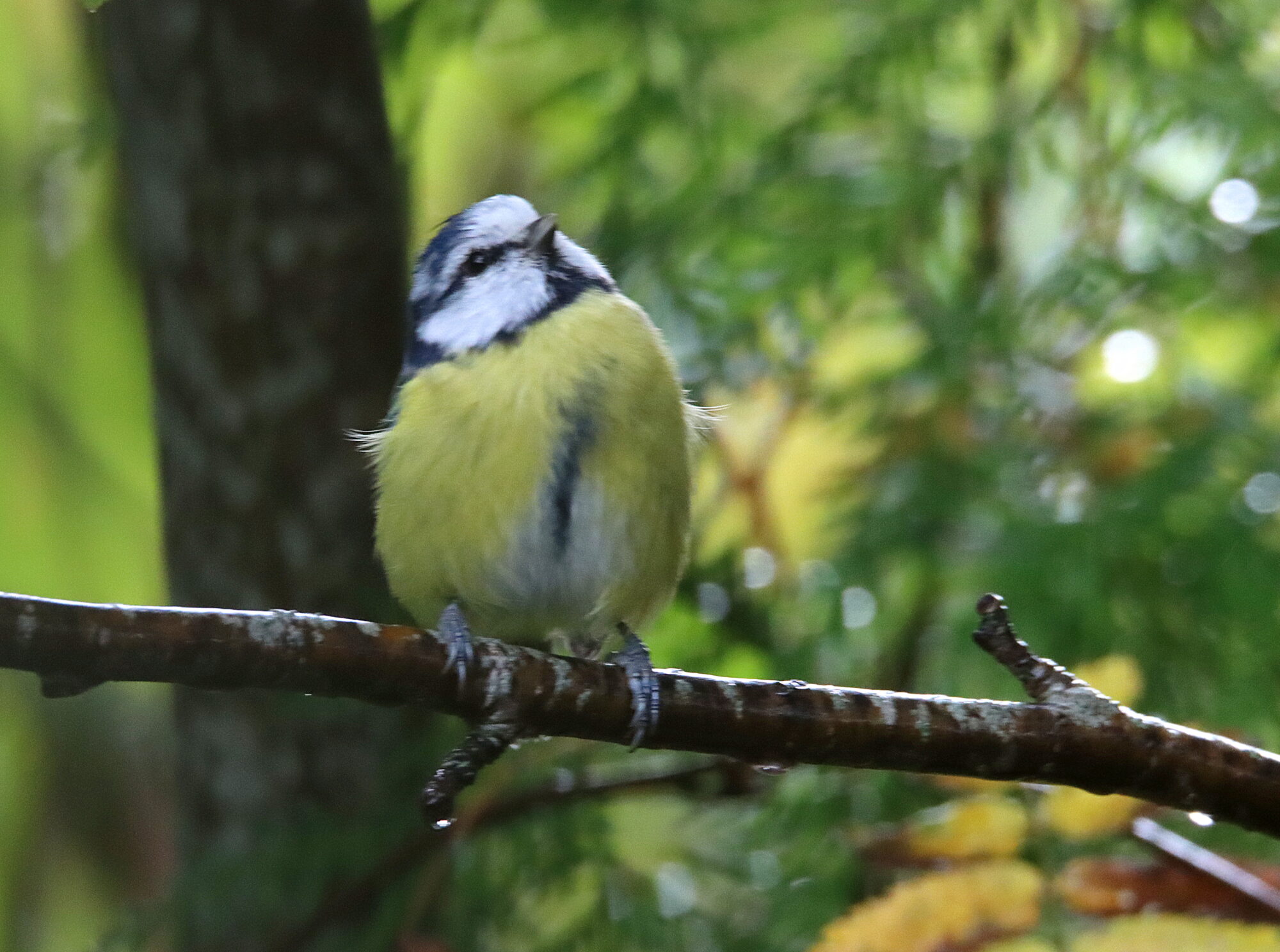 Valokuvaaja: Irja Lehtinen