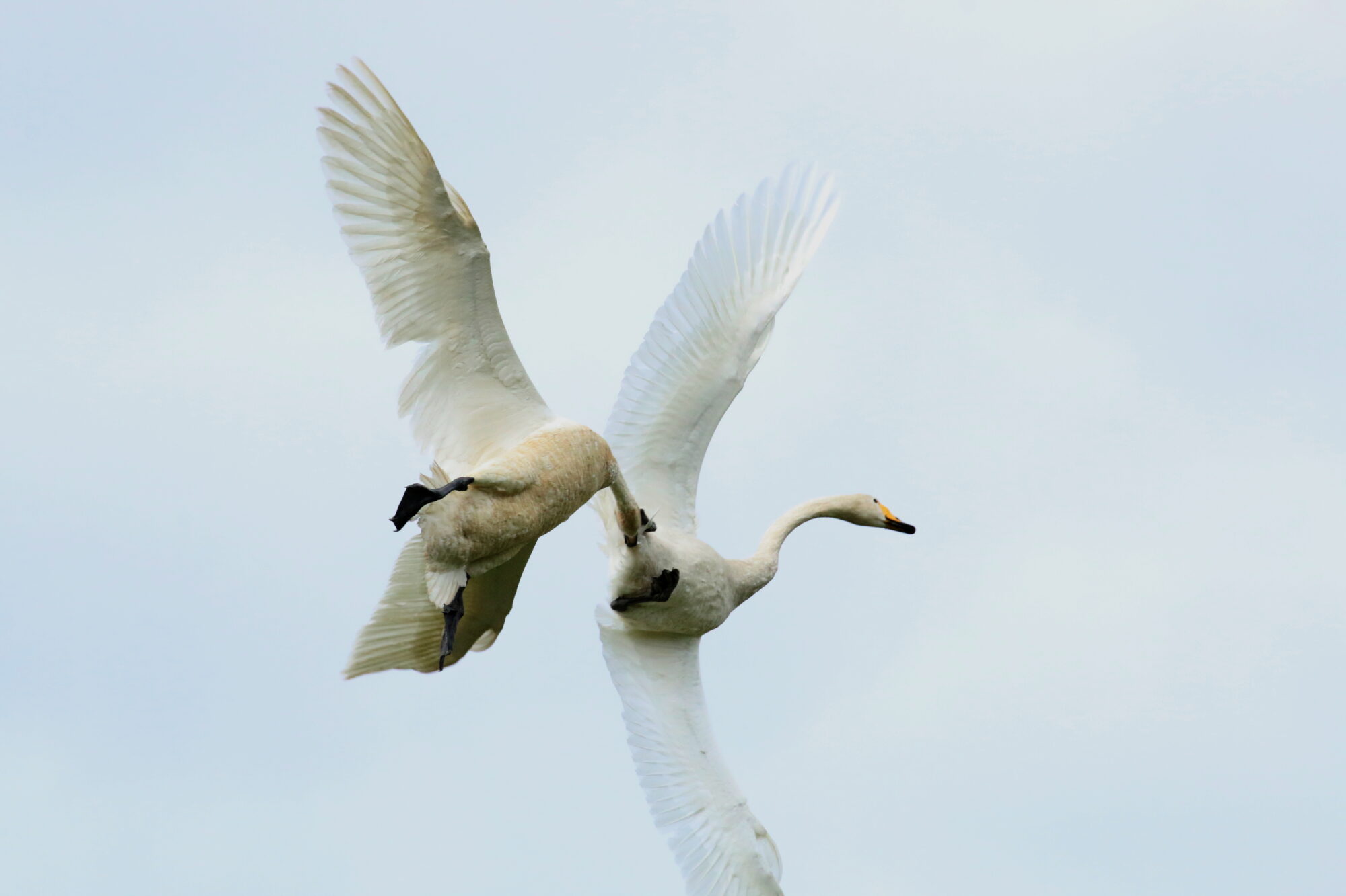 Valokuvaaja: Antero Tykkyläinen
