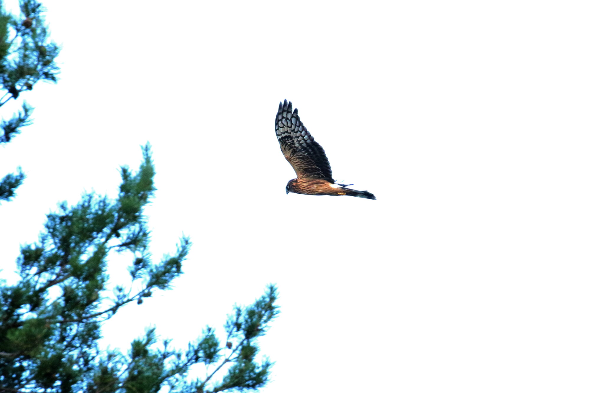 Valokuvaaja: Antero Tykkyläinen Valokuvaaja: Antero Tykkyläinen
