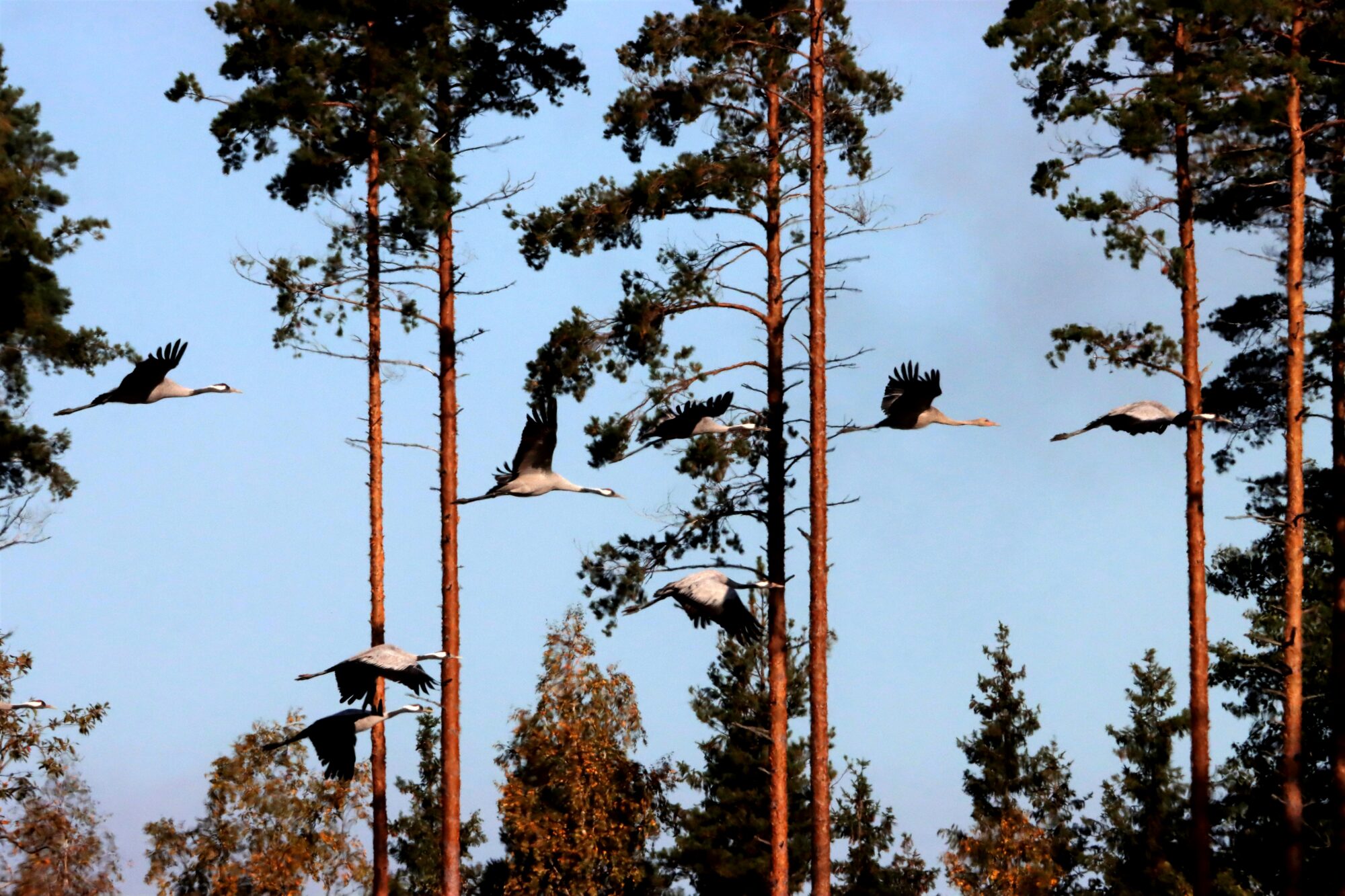 Valokuvaaja: Irja Lehtinen