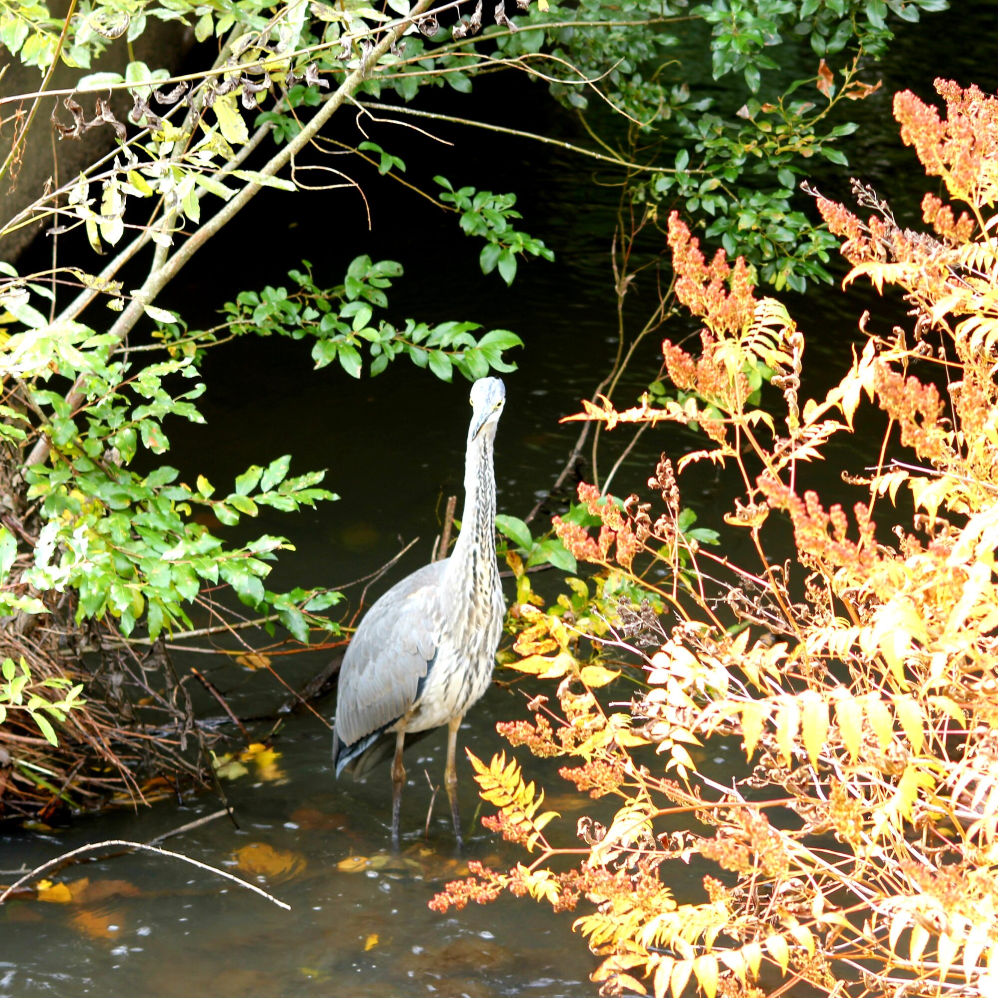 Valokuvaaja: Marjo Reilamo
