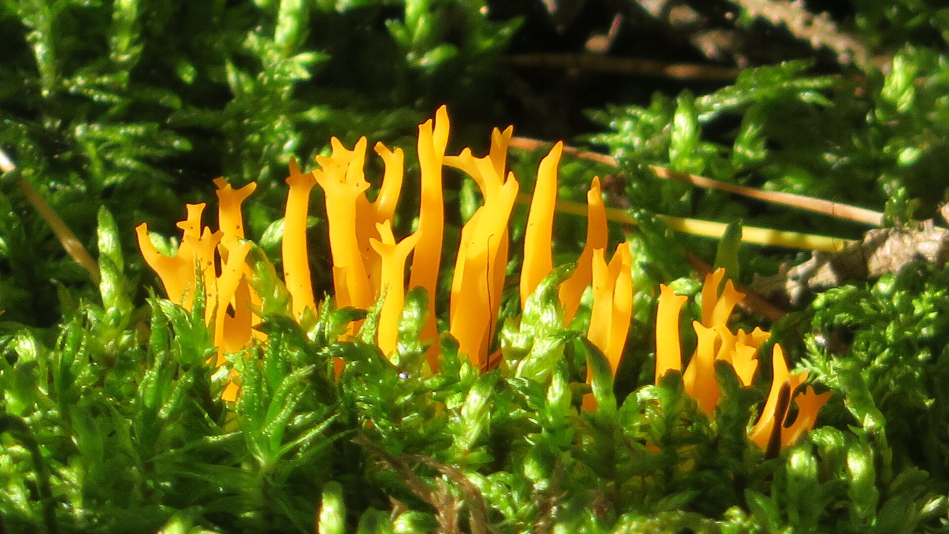 Valokuvaaja: Risto Kangassalo Valokuvaaja: Risto Kangassalo