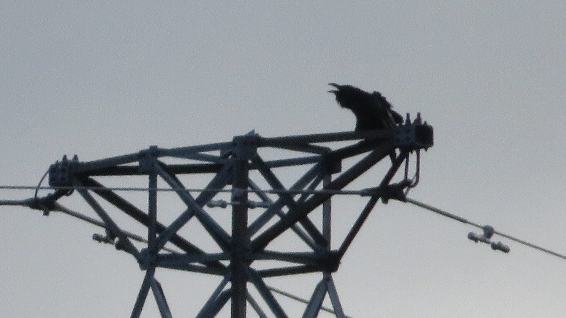 Valokuvaaja: Risto Kangassalo