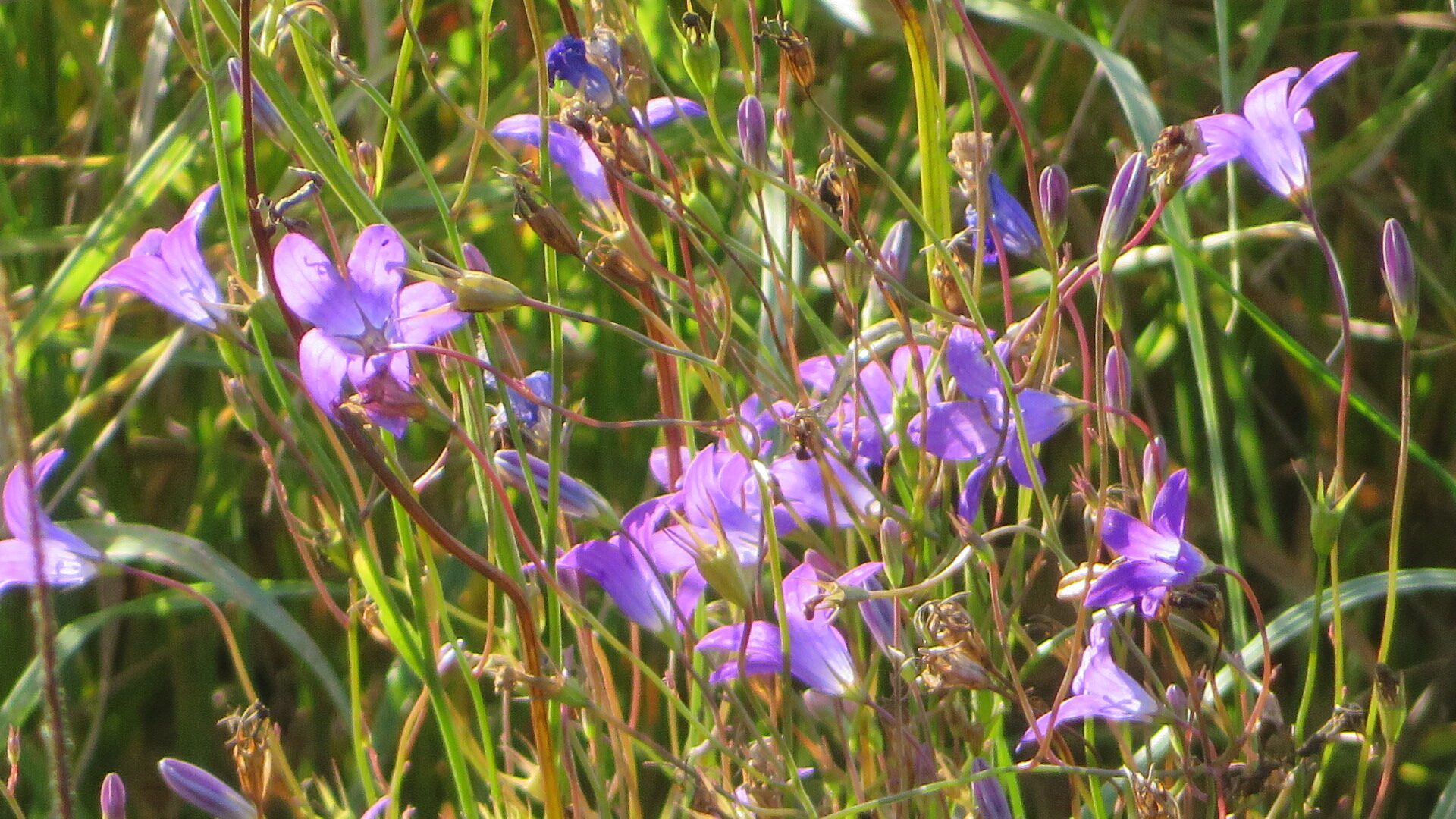 Valokuvaaja: Risto Kangassalo Valokuvaaja: Risto Kangassalo