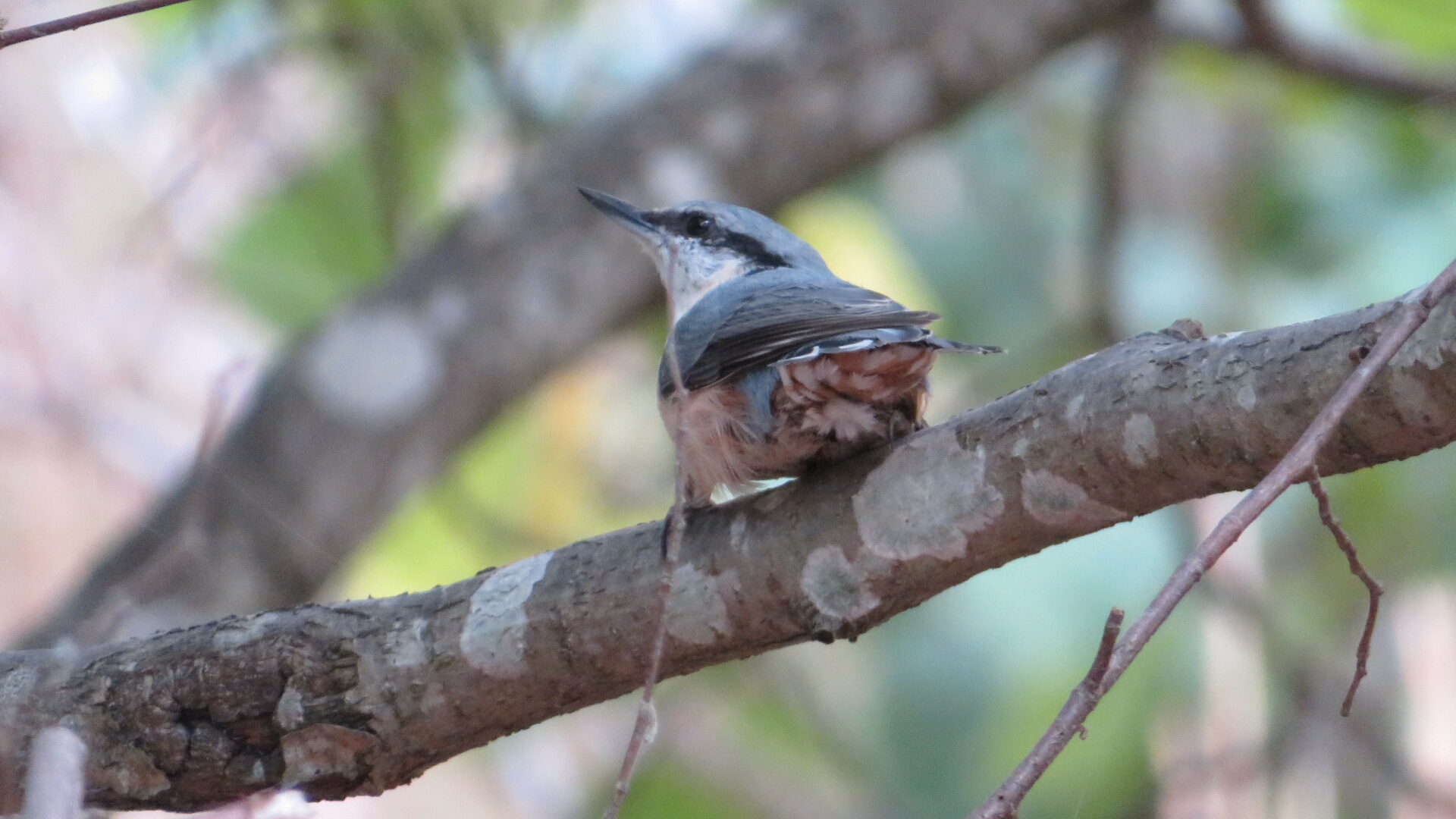 Valokuvaaja: Risto Kangassalo