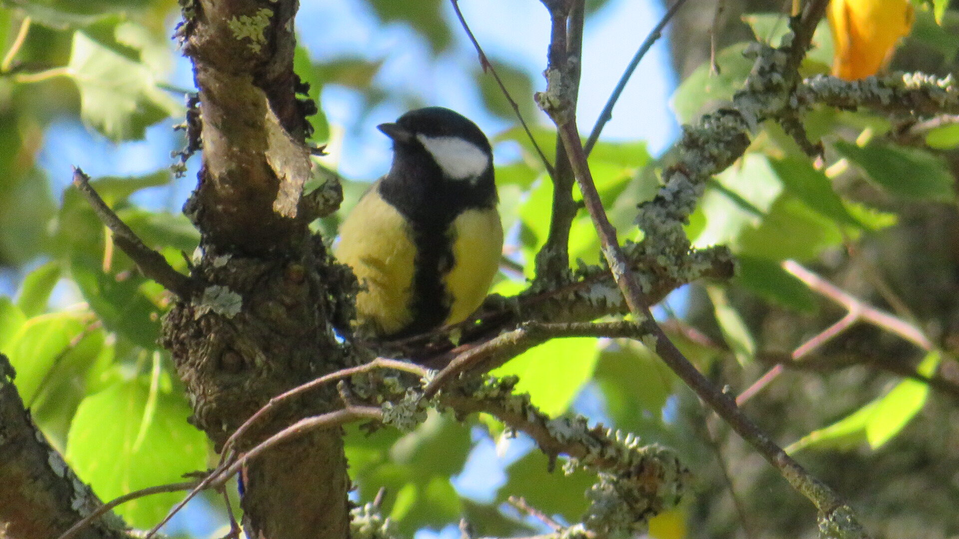 Valokuvaaja: Risto Kangassalo