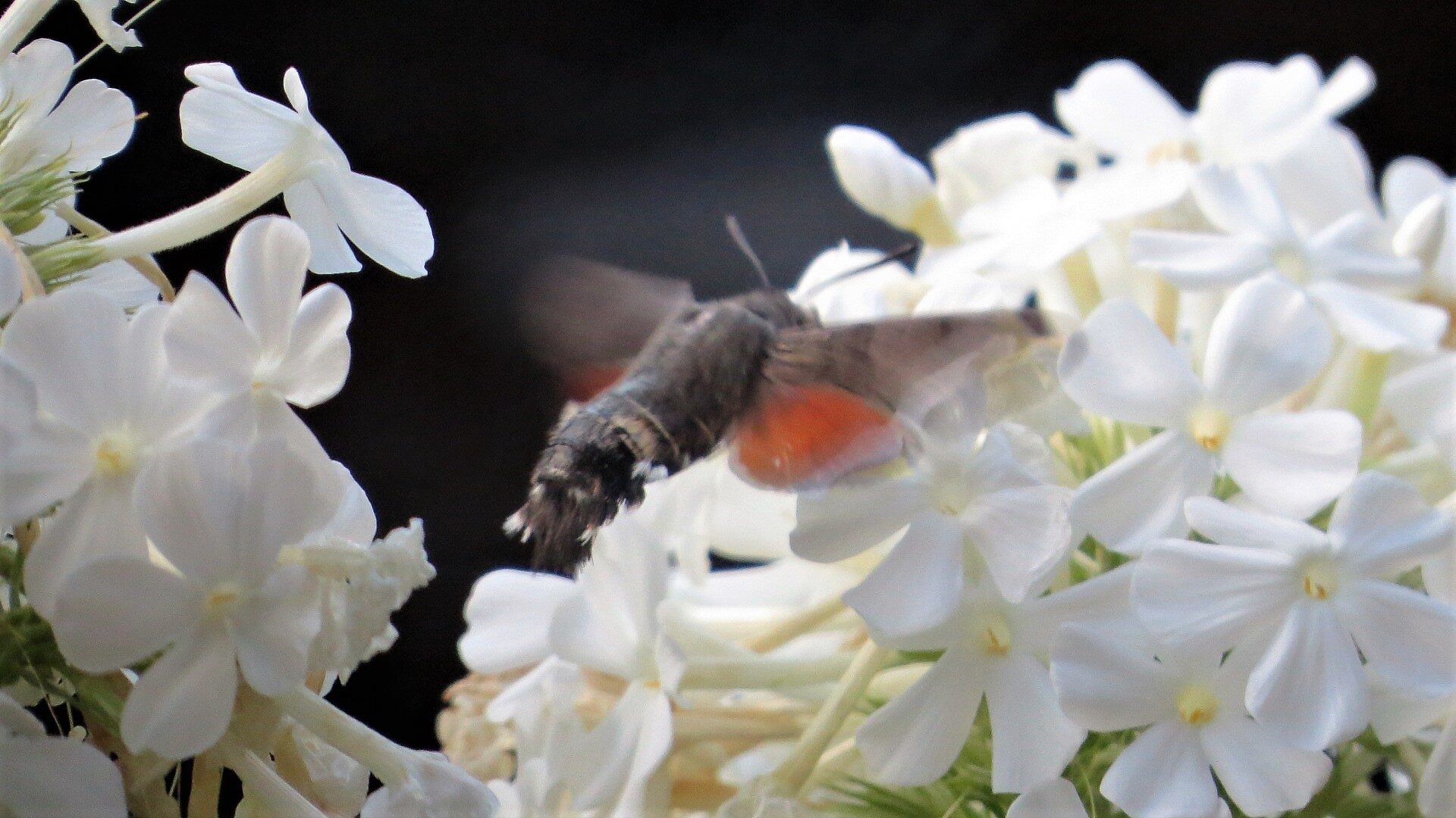 Valokuvaaja: Ari Loikkanen