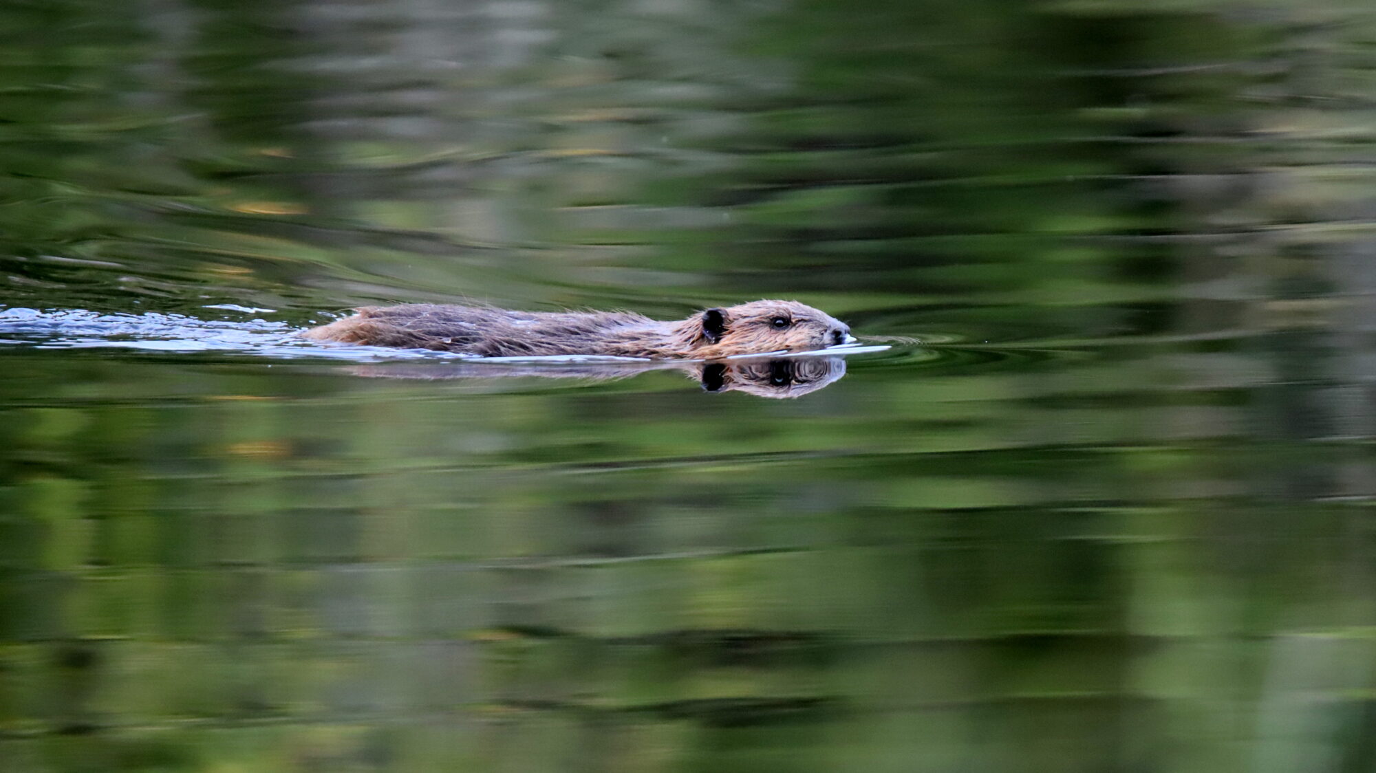 Valokuvaaja: sirpa Jyske