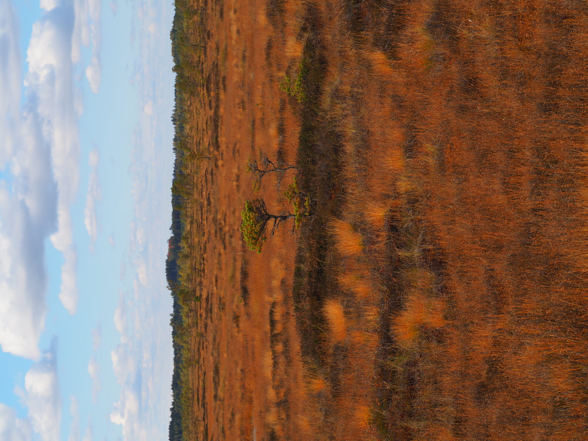 Valokuvaaja: Jenni Kauppinen