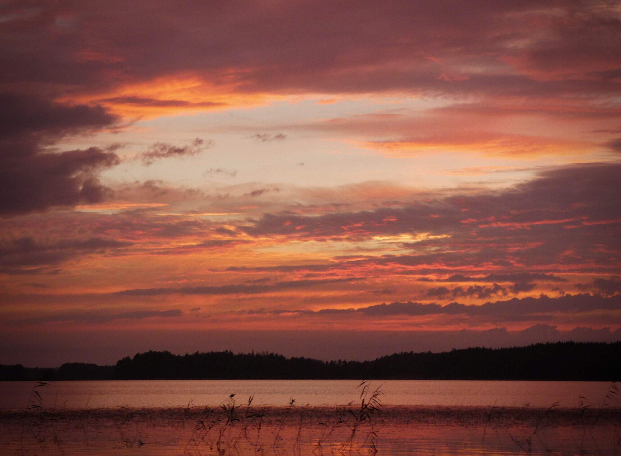 Valokuvaaja: Liisa Niiva-Korpela