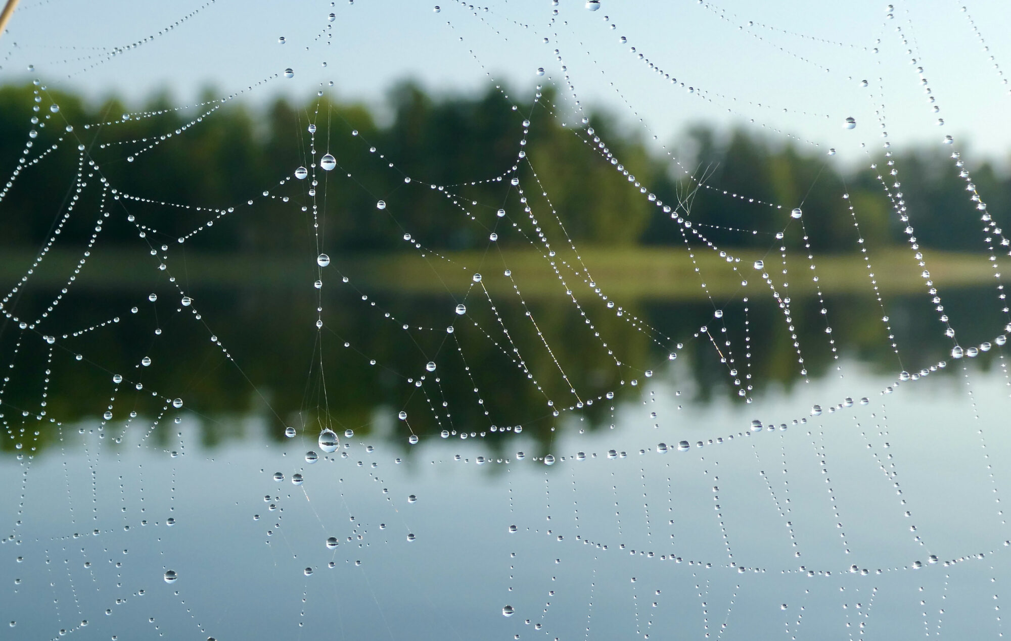 Valokuvaaja: Liisa Niiva-Korpela