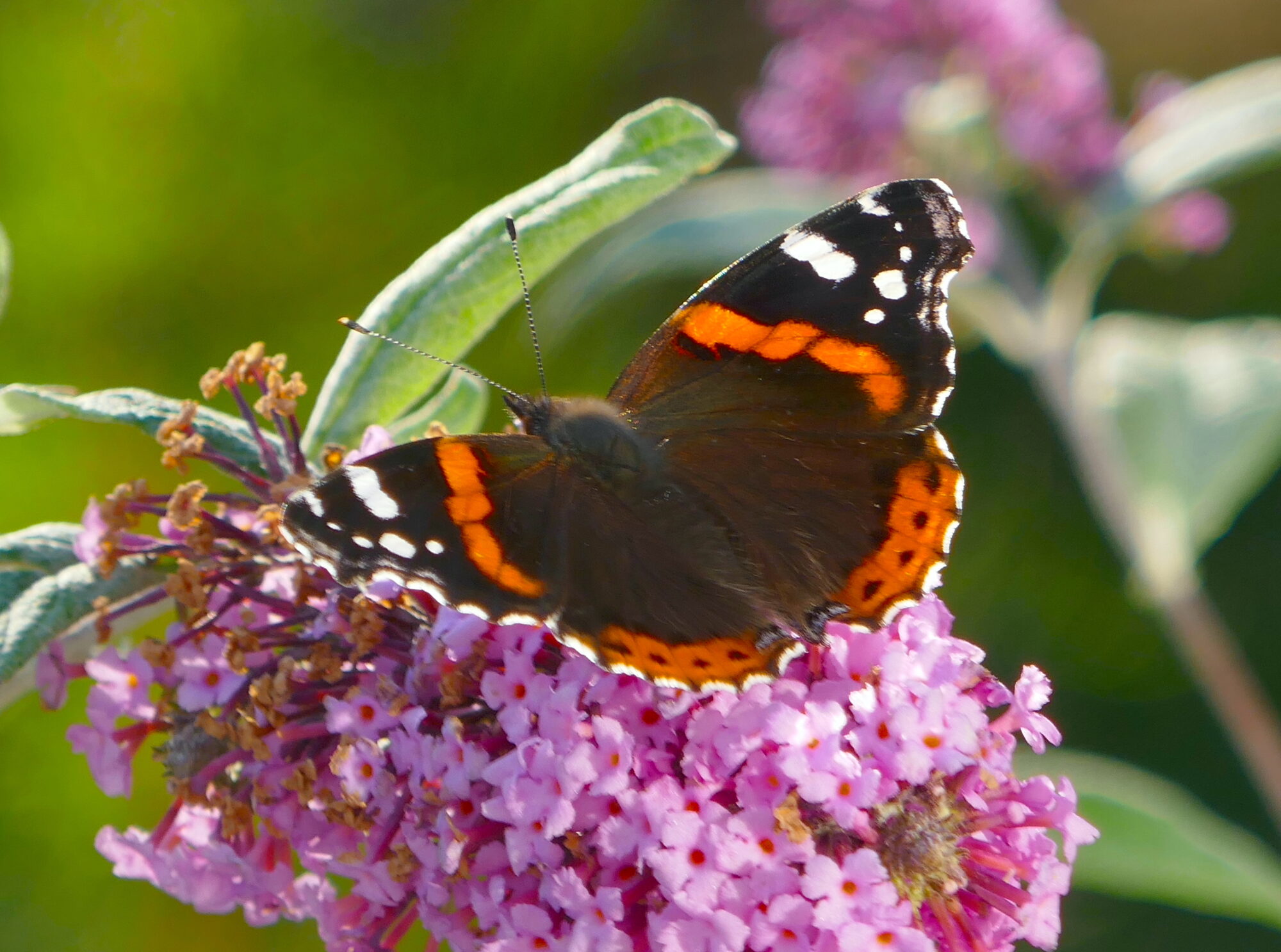 Valokuvaaja: Marjut Ikonen