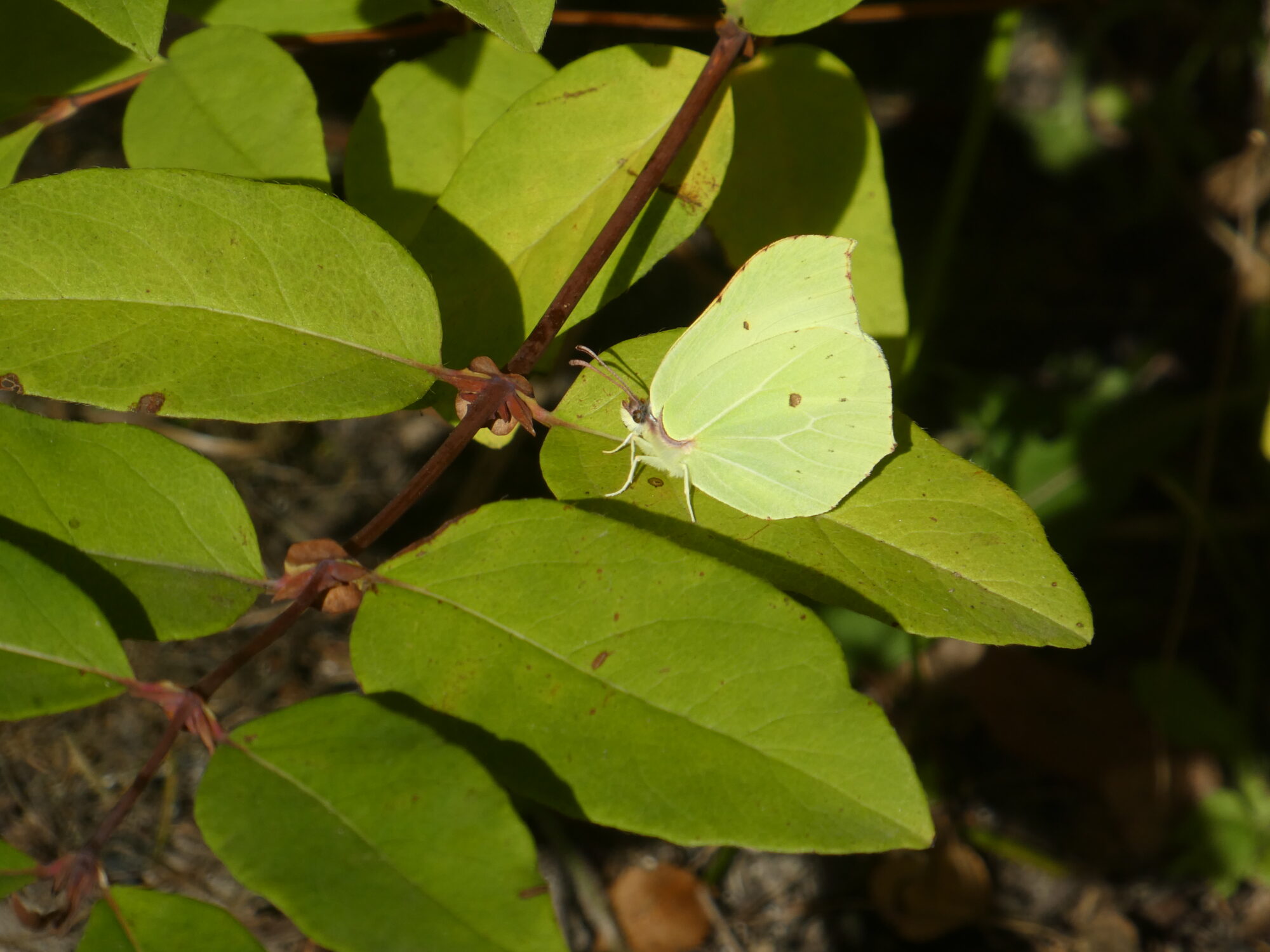 Valokuvaaja: Anja Mustamaa