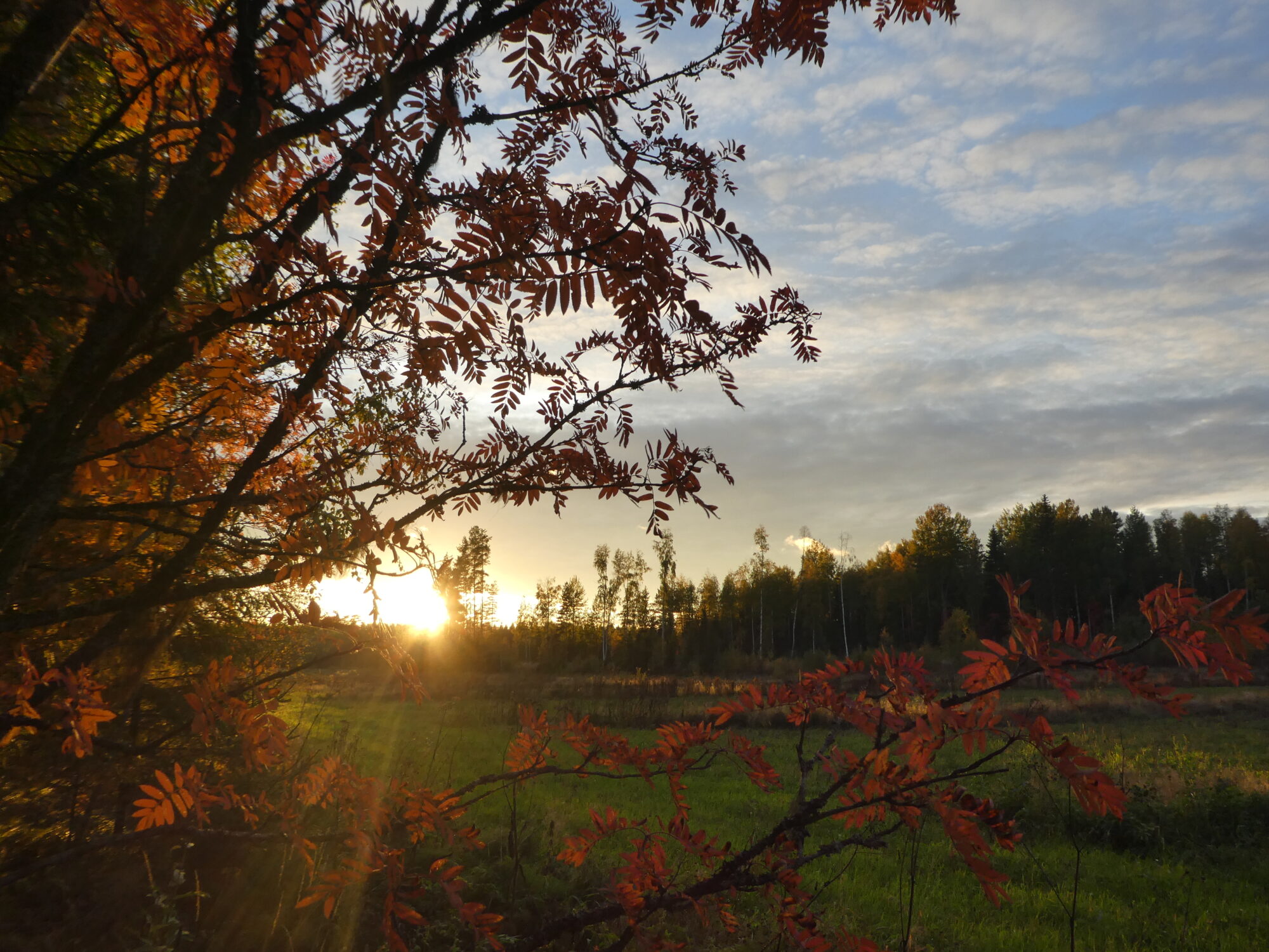 Valokuvaaja: Anja Mustamaa Valokuvaaja: Anja Mustamaa
