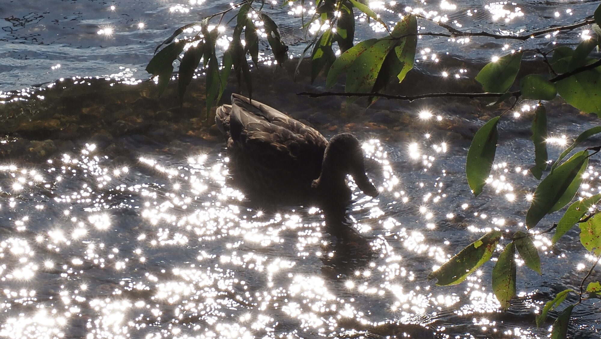 Valokuvaaja: Arja Valtonen