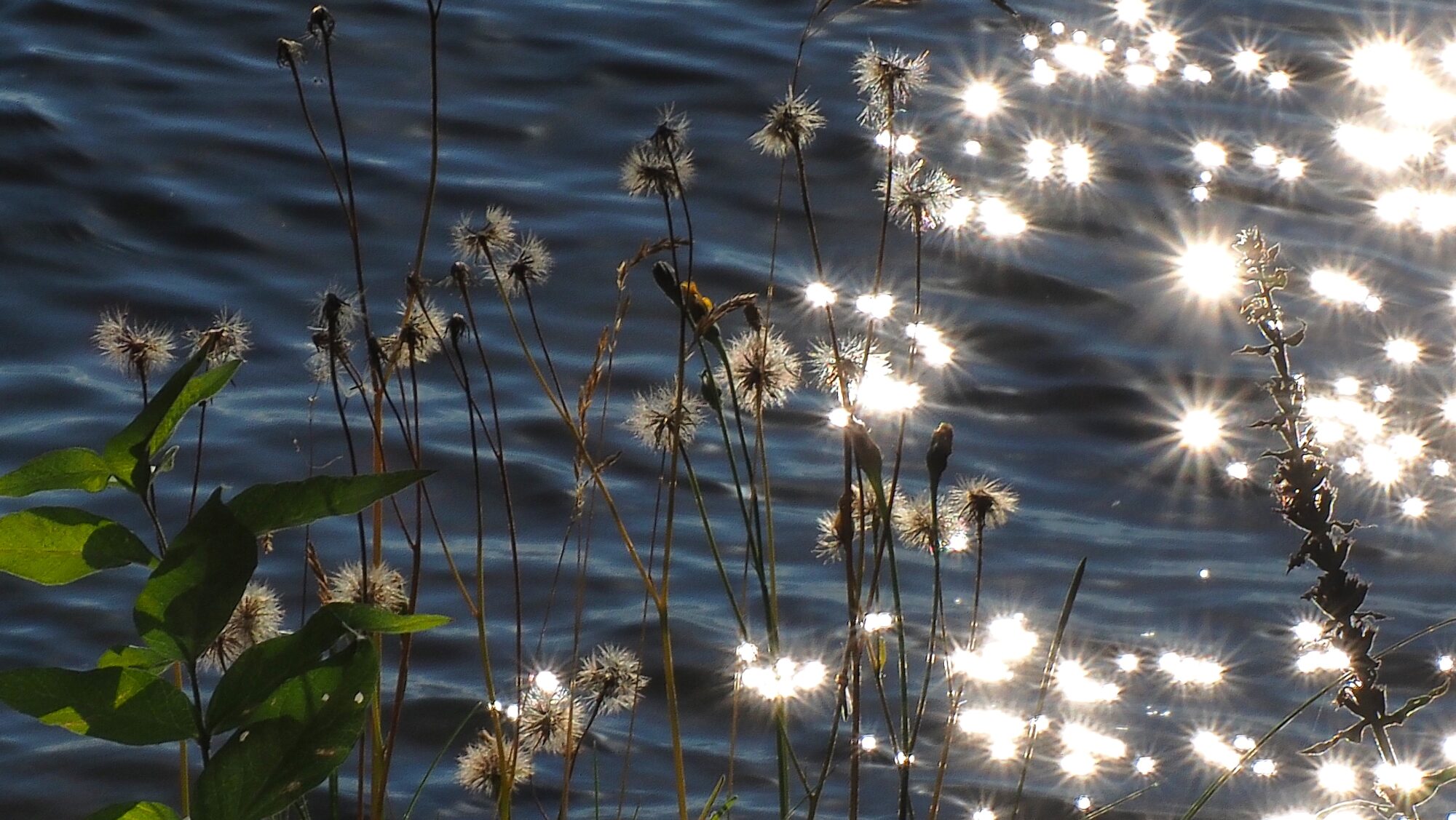 Valokuvaaja: Arja Valtonen