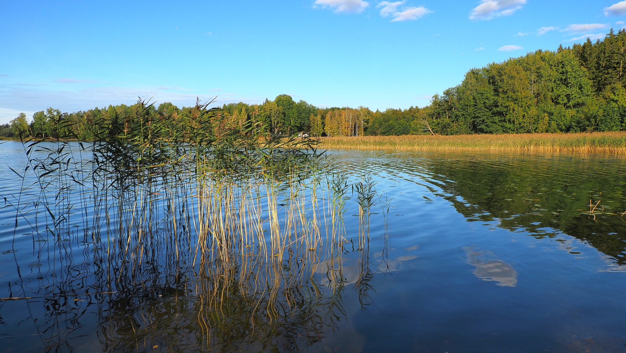 Valokuvaaja: Arja Valtonen