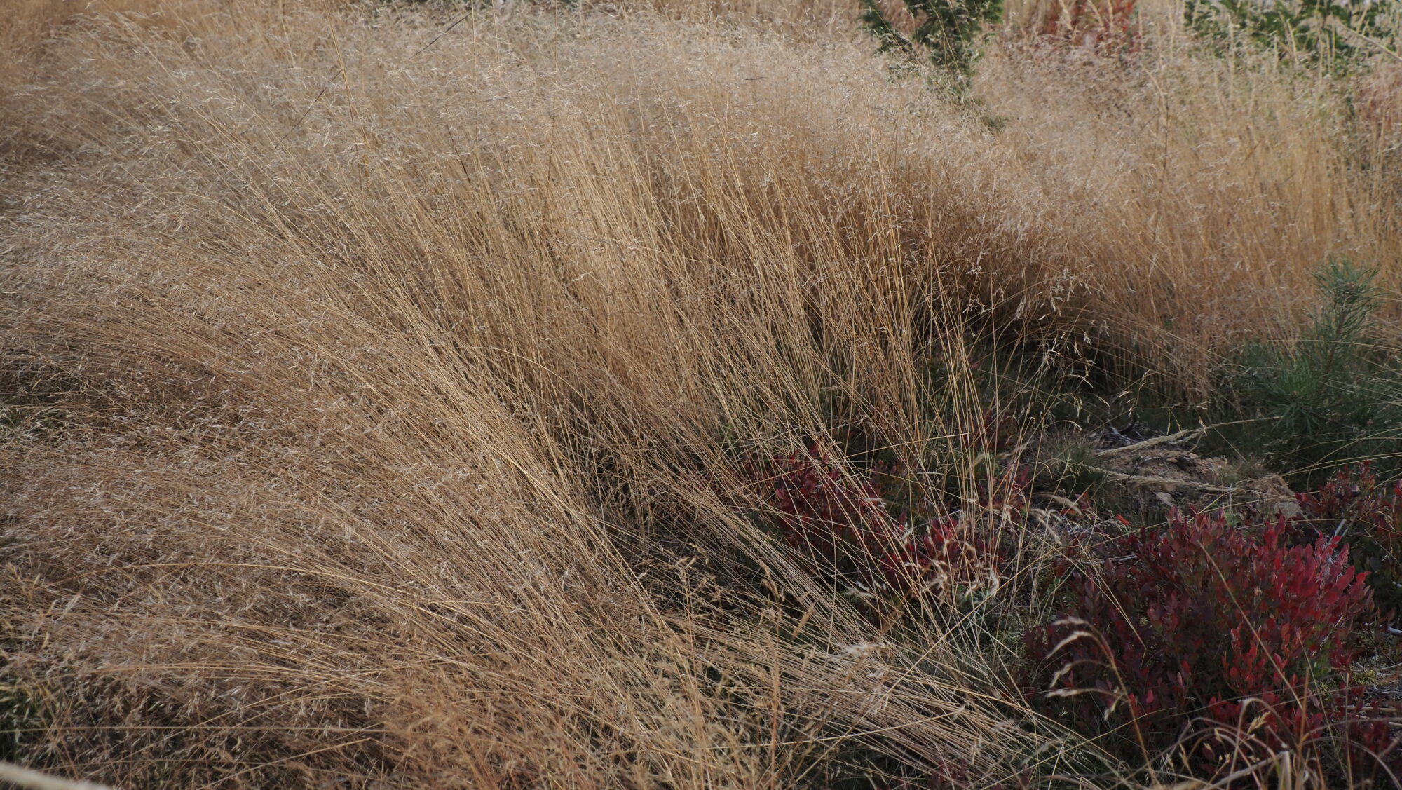 Valokuvaaja: Arja Valtonen