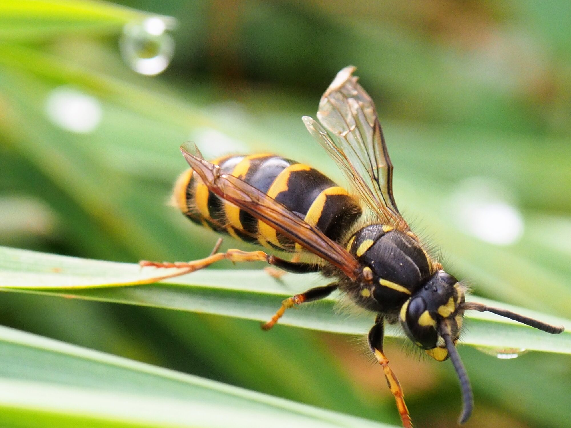 Valokuvaaja: Martti Valtonen