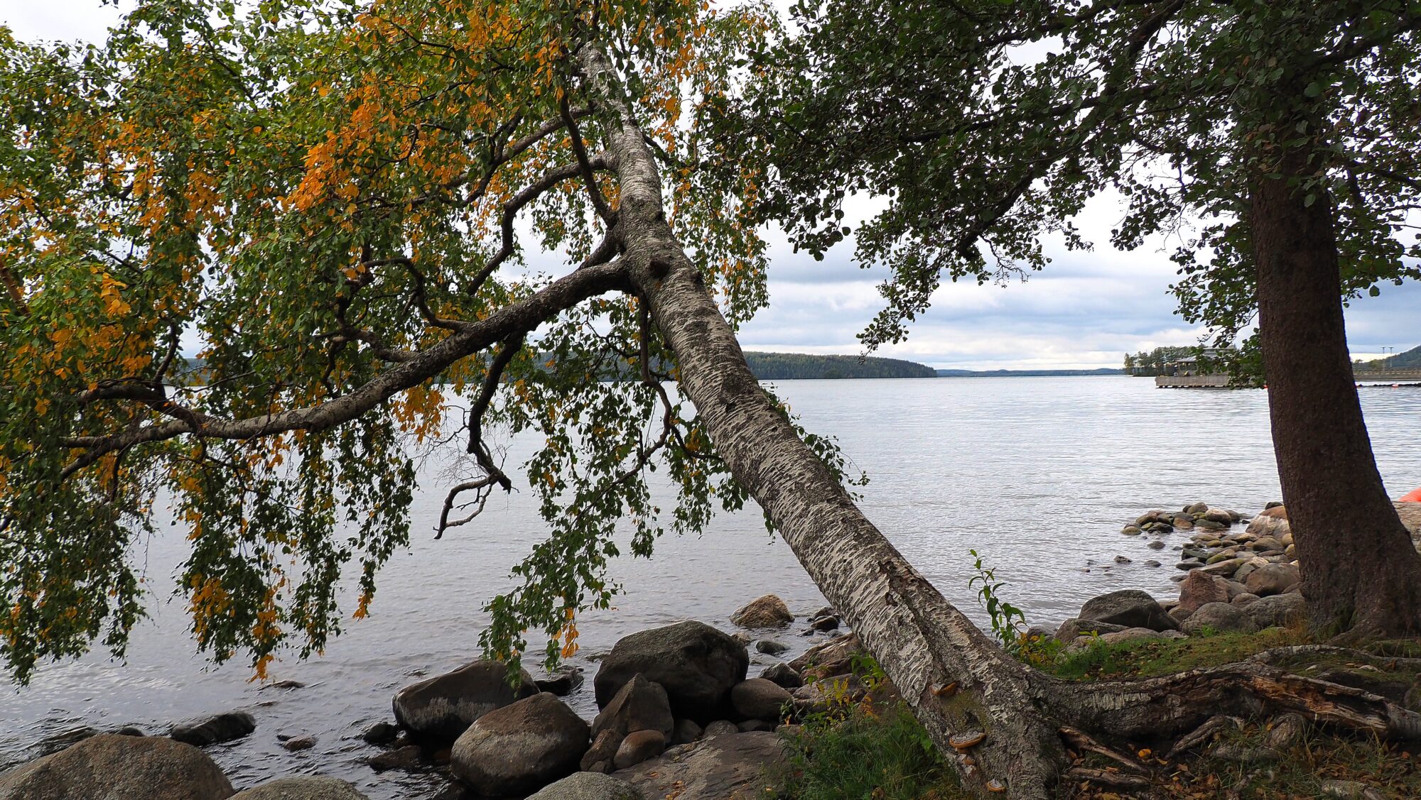 Valokuvaaja: Arja Valtonen