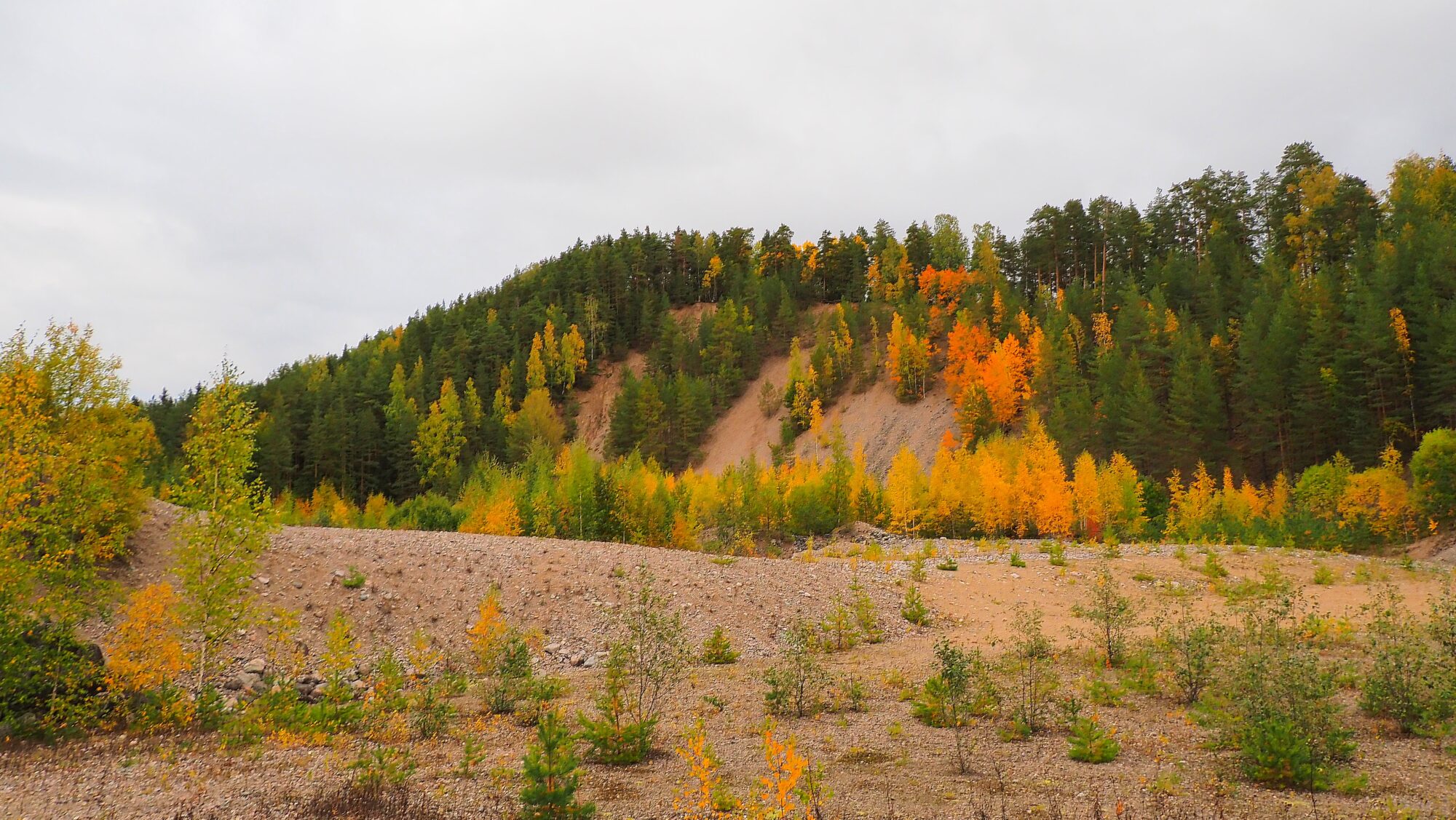 Valokuvaaja: Arja Valtonen