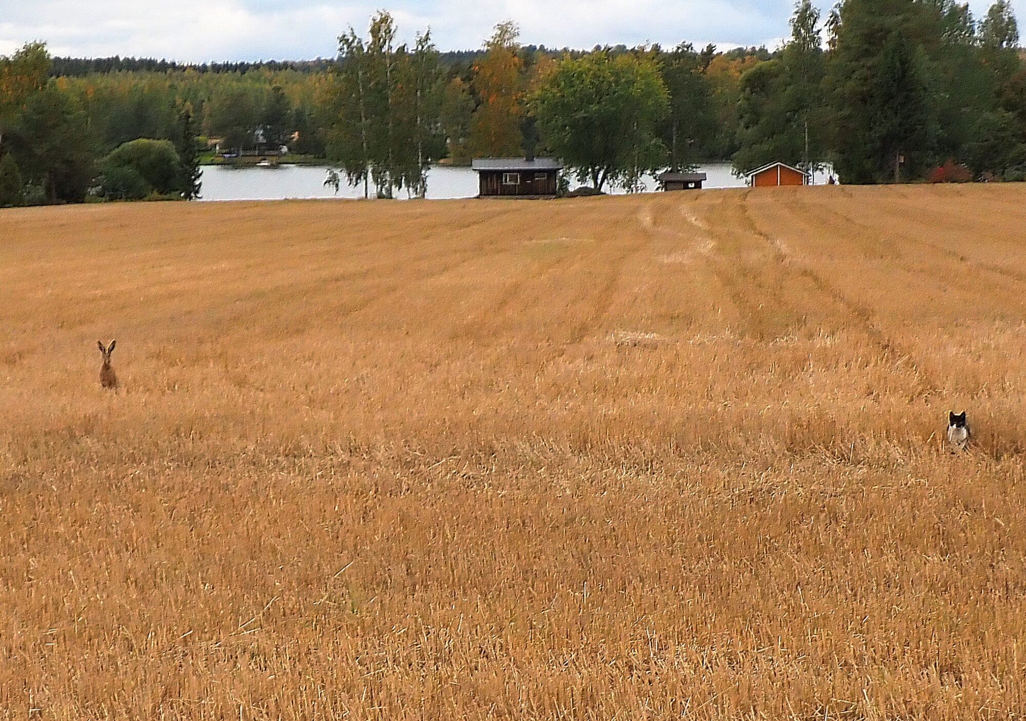 Valokuvaaja: Arja Valtonen