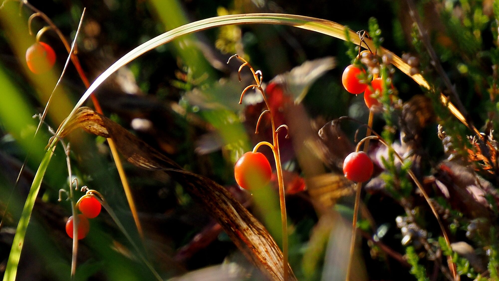 Valokuvaaja: Arja Valtonen