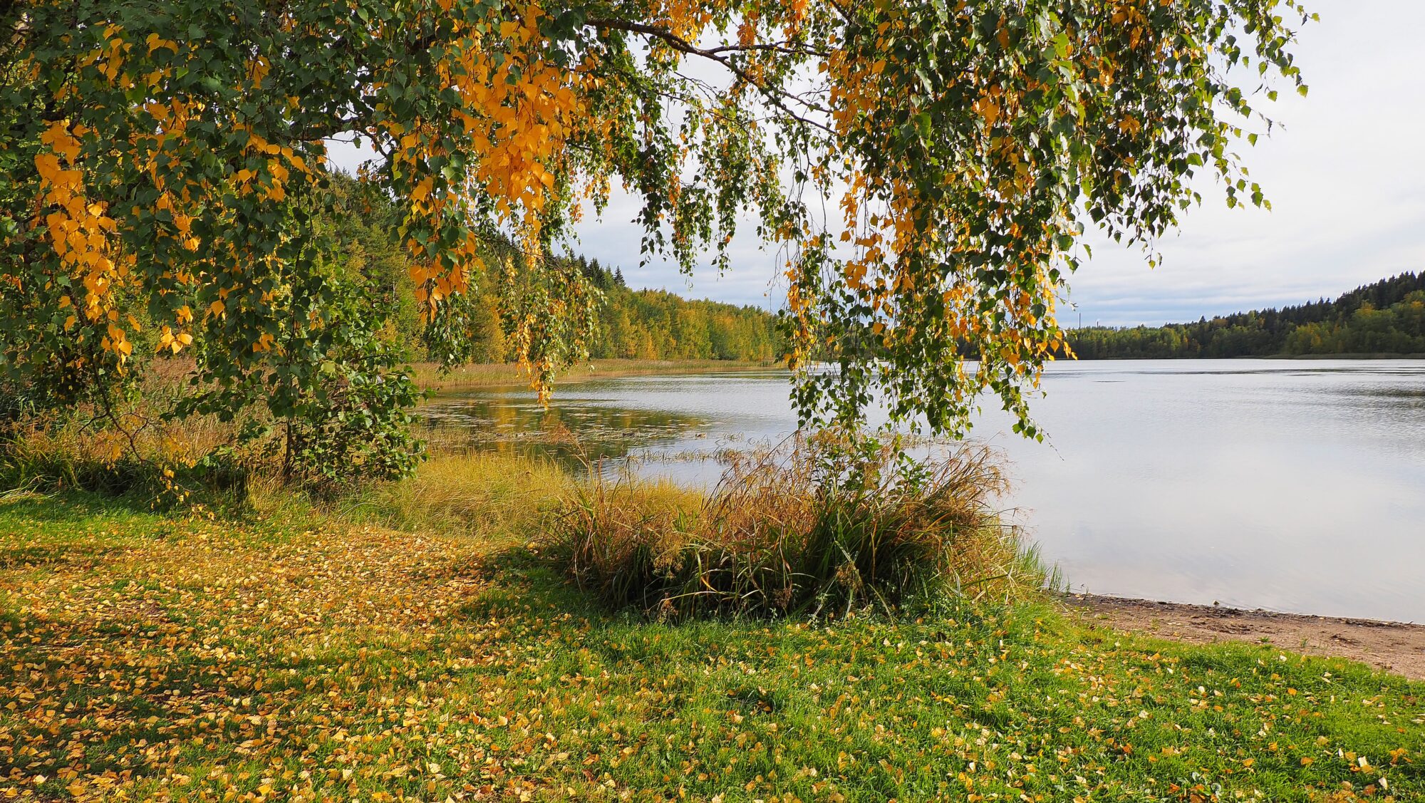 Valokuvaaja: Arja Valtonen