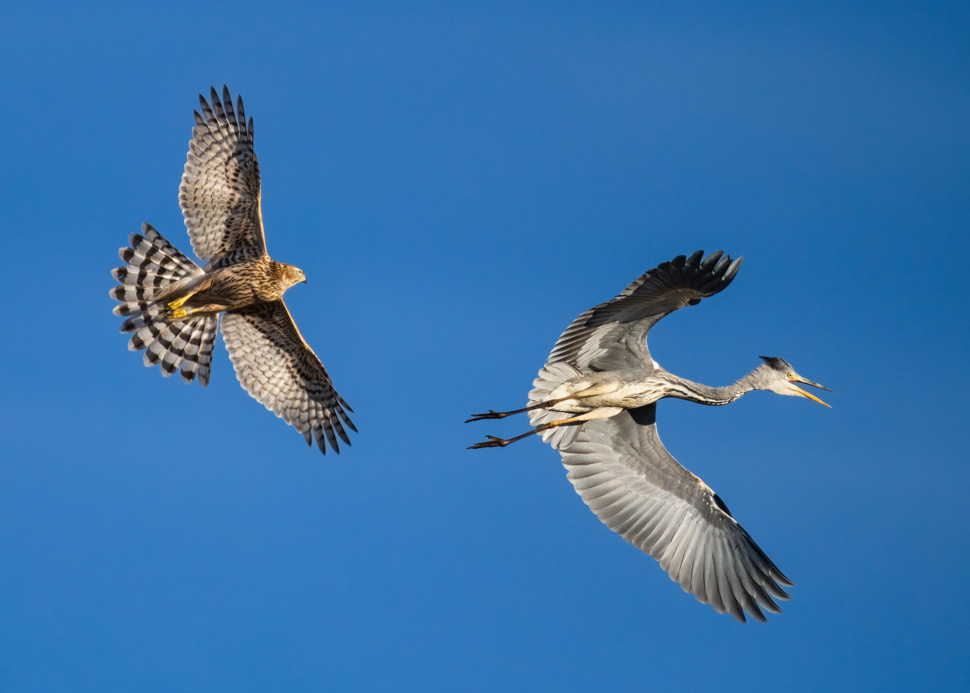 Valokuvaaja: Laura Lehtola