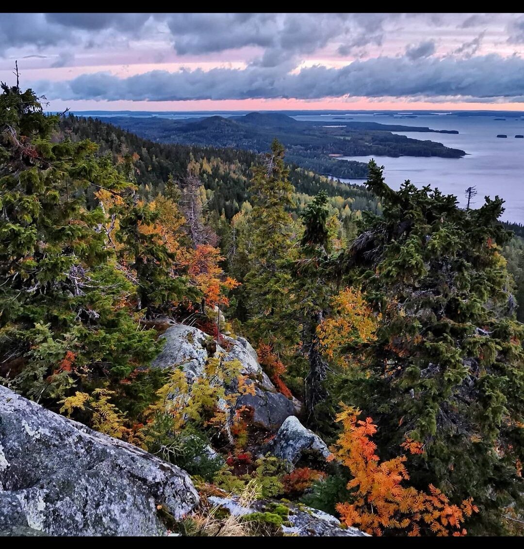Valokuvaaja: Tapio Keinonen