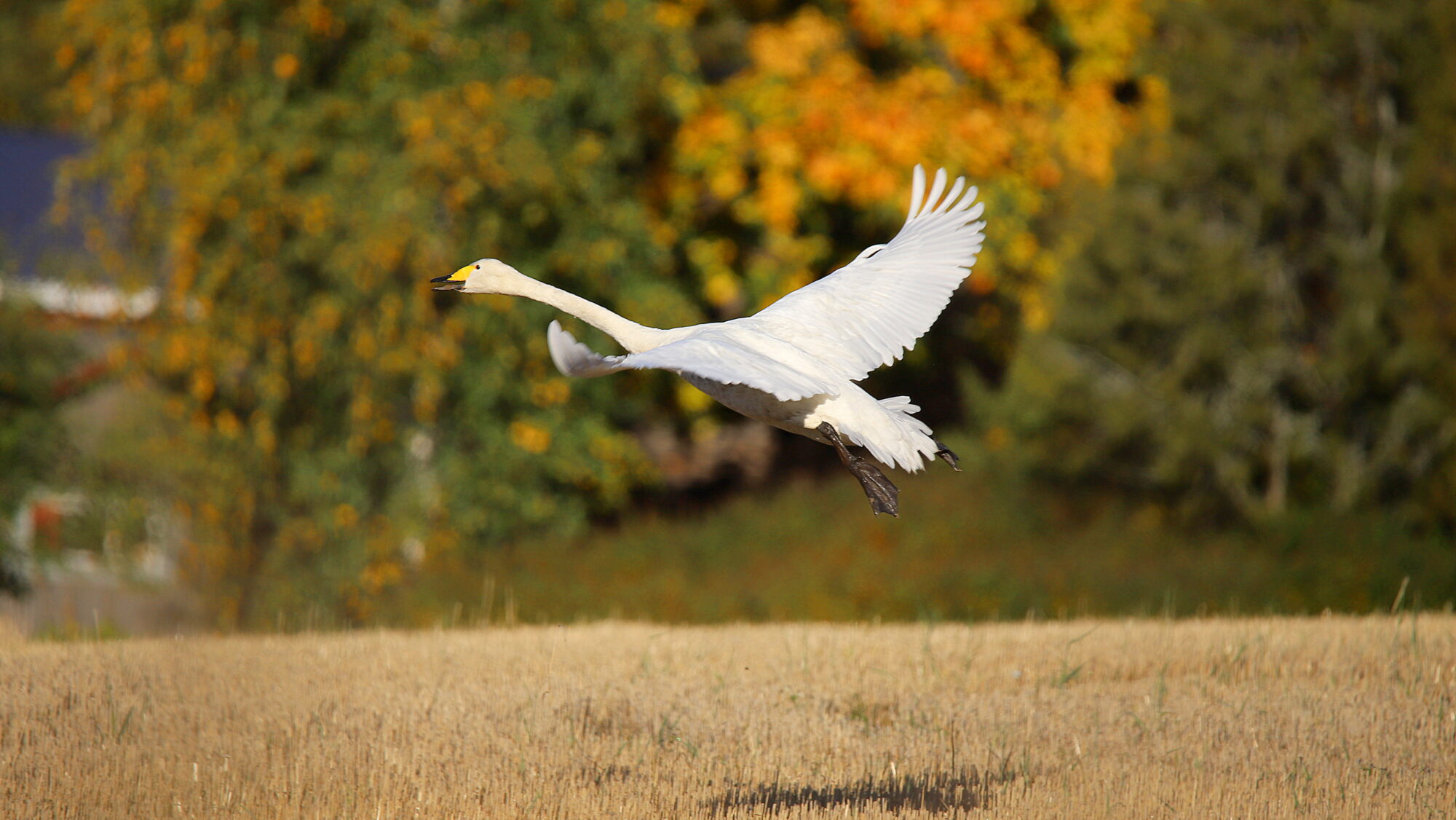 Valokuvaaja: sirpa Jyske