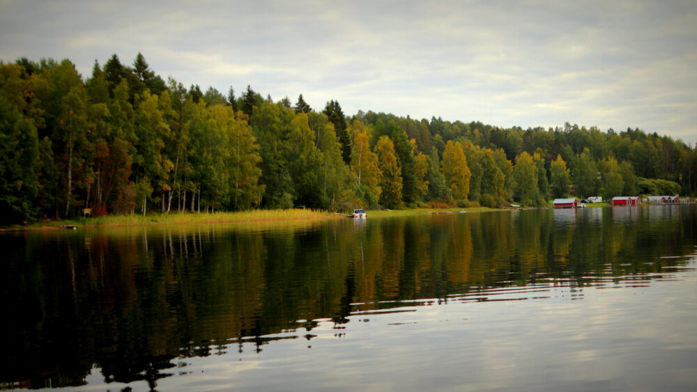 Alkavaa ruskaa