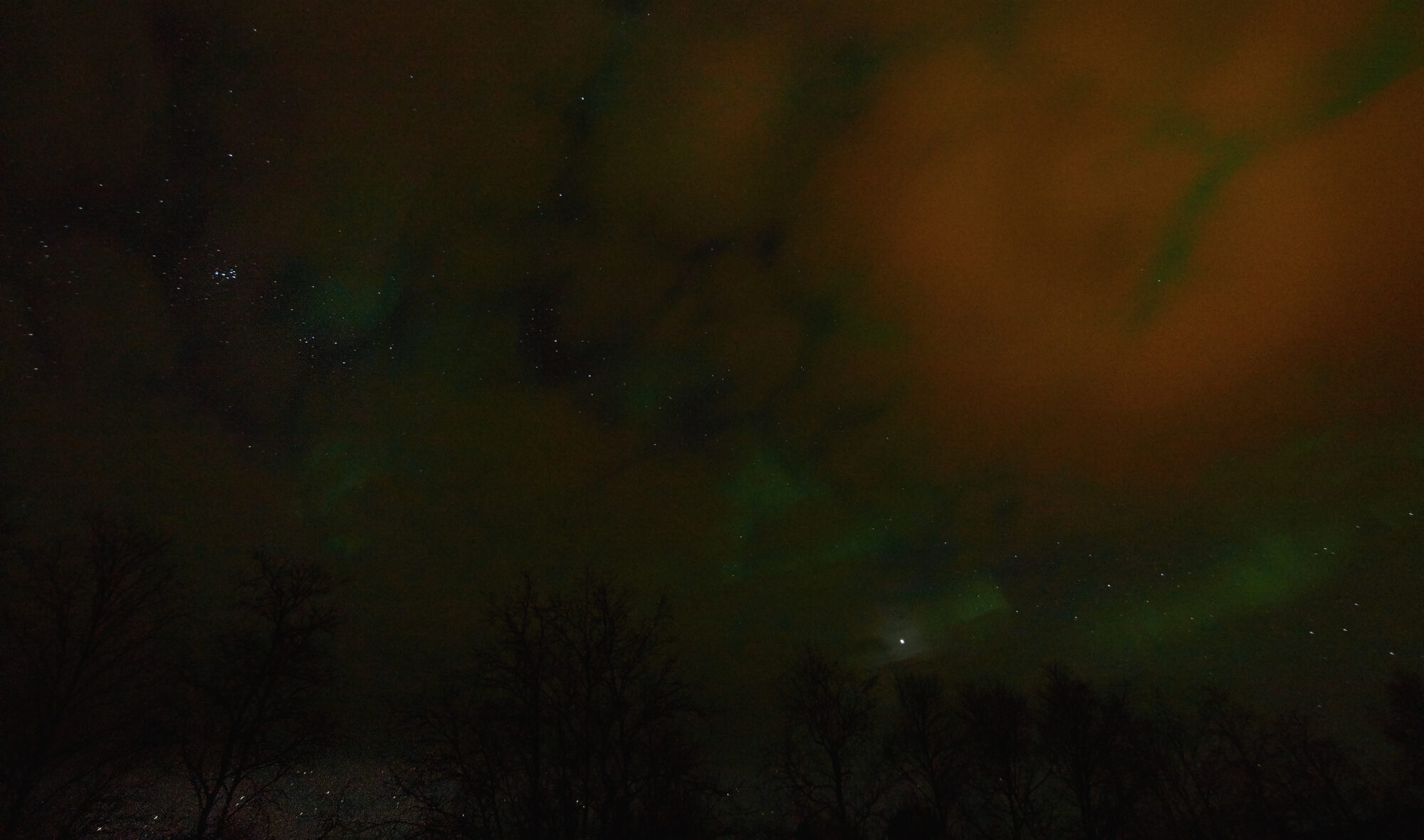 Valokuvaaja: Tarja Kouvo