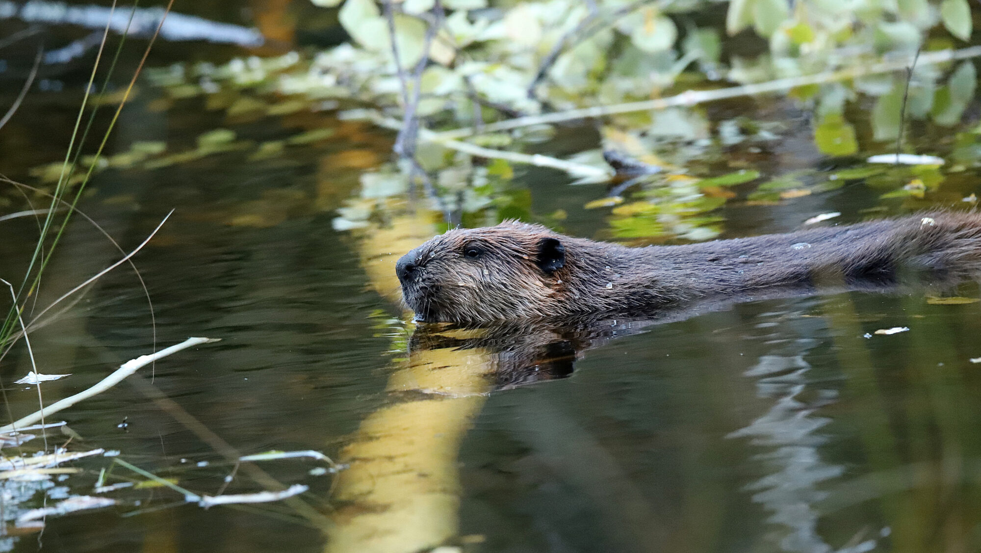 Valokuvaaja: sirpa Jyske