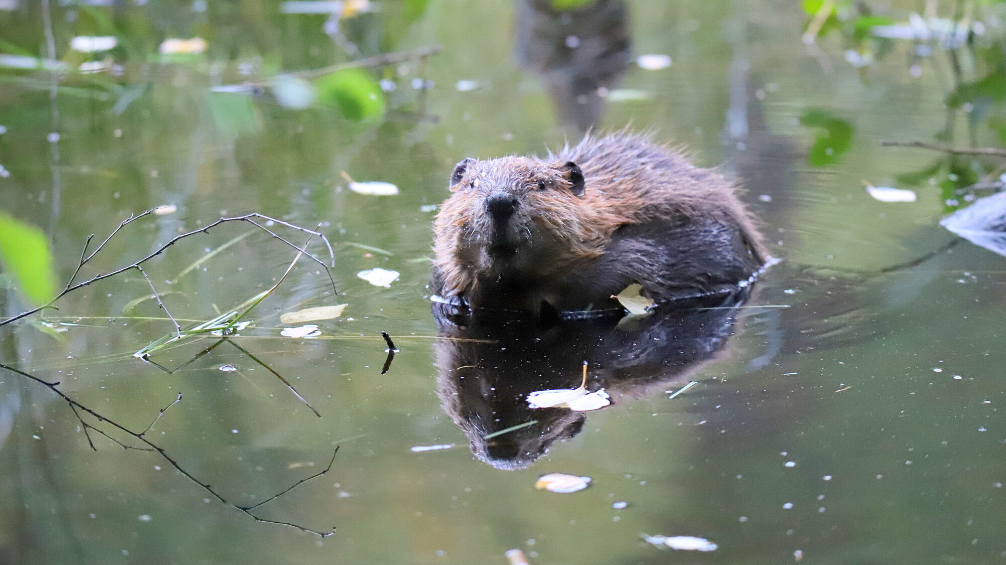 Valokuvaaja: sirpa Jyske
