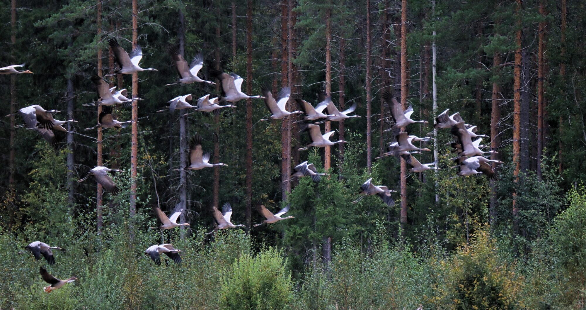 Valokuvaaja: Ahti Keränen