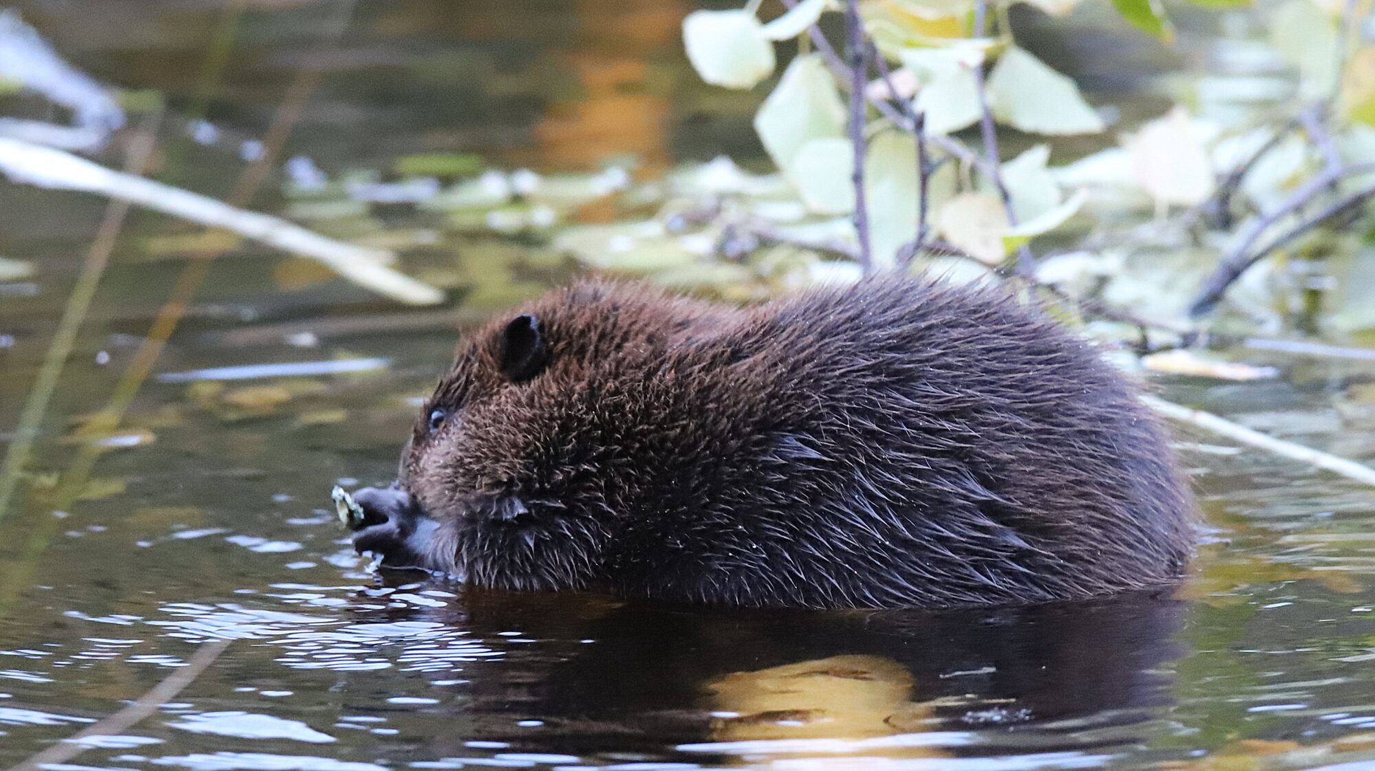 Valokuvaaja: sirpa Jyske