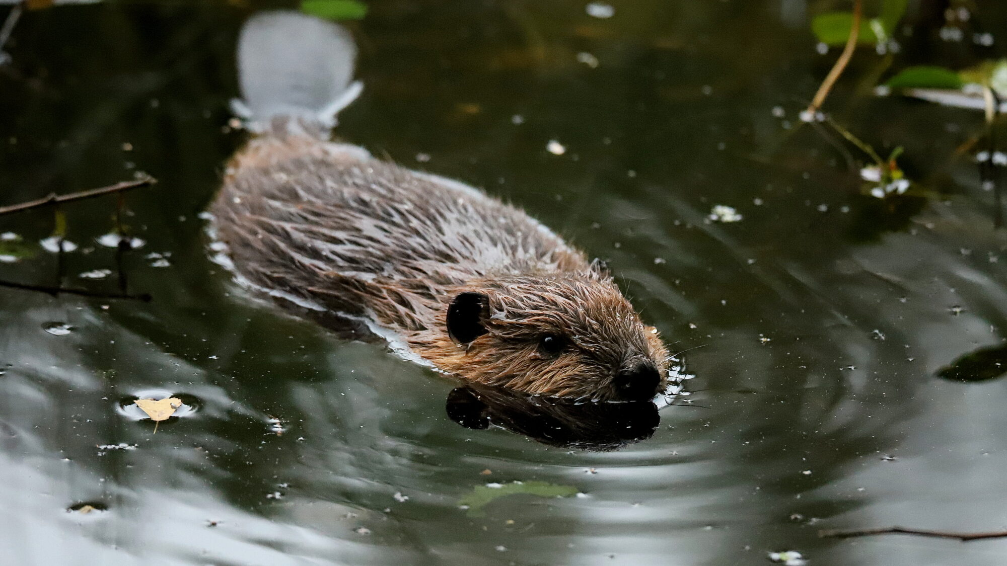 Valokuvaaja: sirpa Jyske