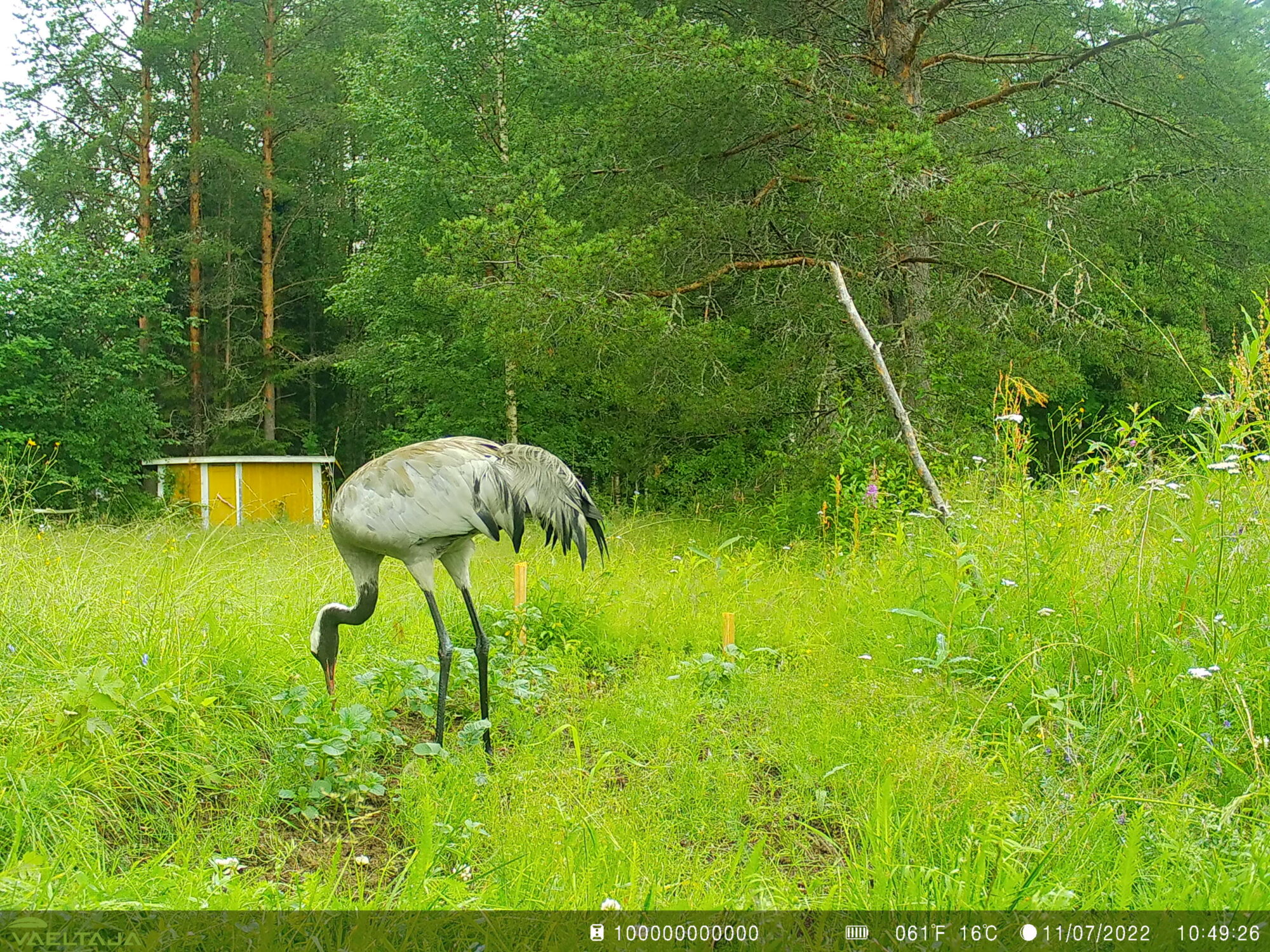 Valokuvaaja: Sakari Hänninen