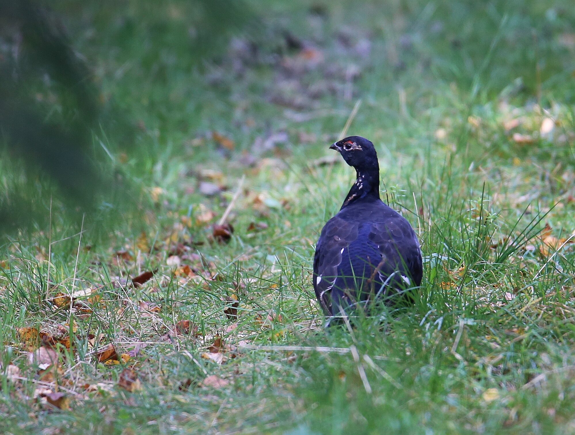 Valokuvaaja: Jaana Saarelainen